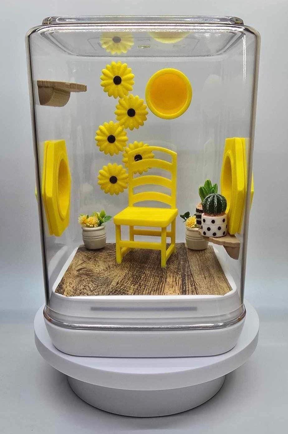 Sunflower Jumping Spider Enclosure: Decorated Spider Habitat