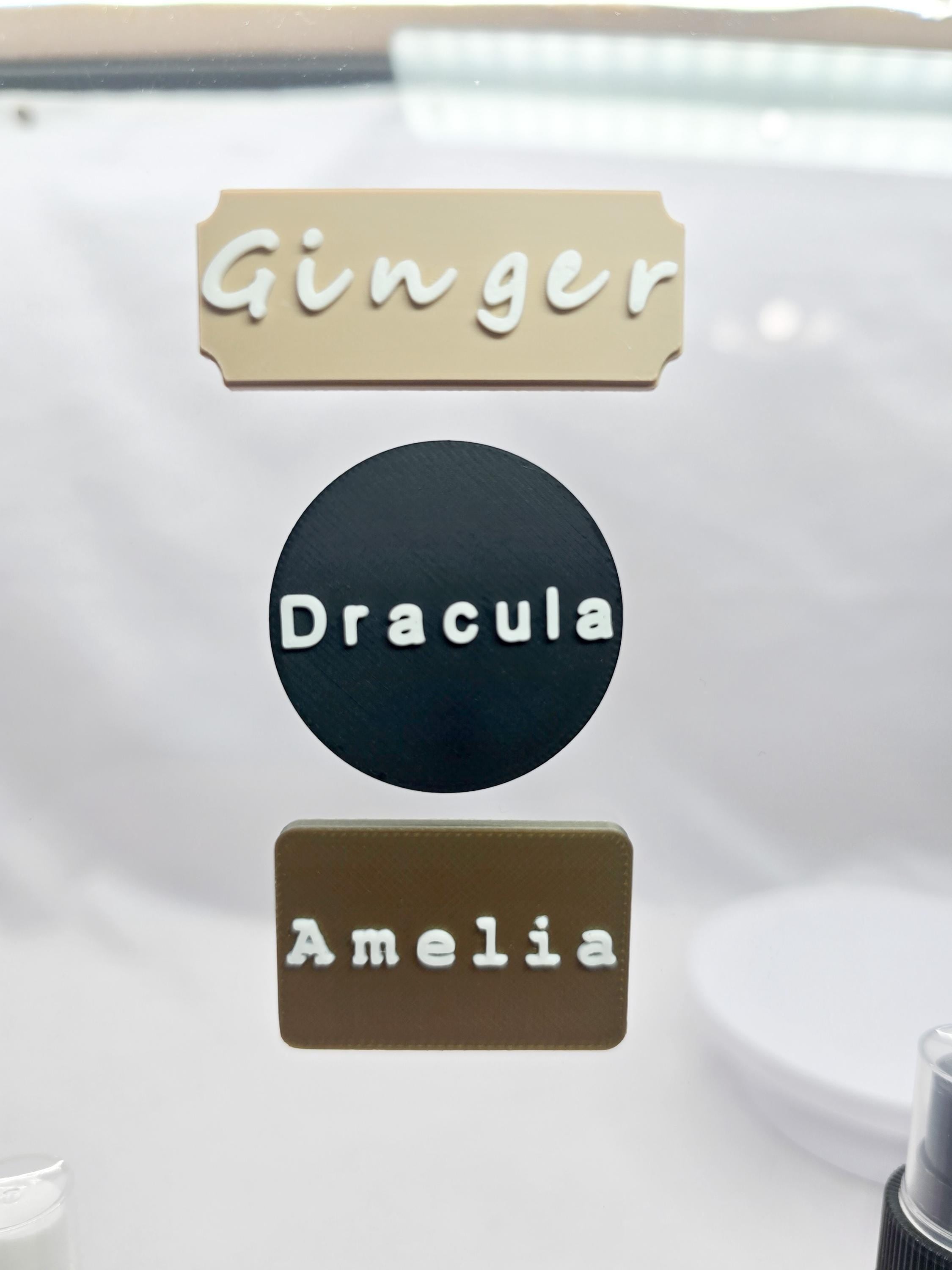 Personalized name tag, Magnetic, customizable, for spider and reptile enclosures.