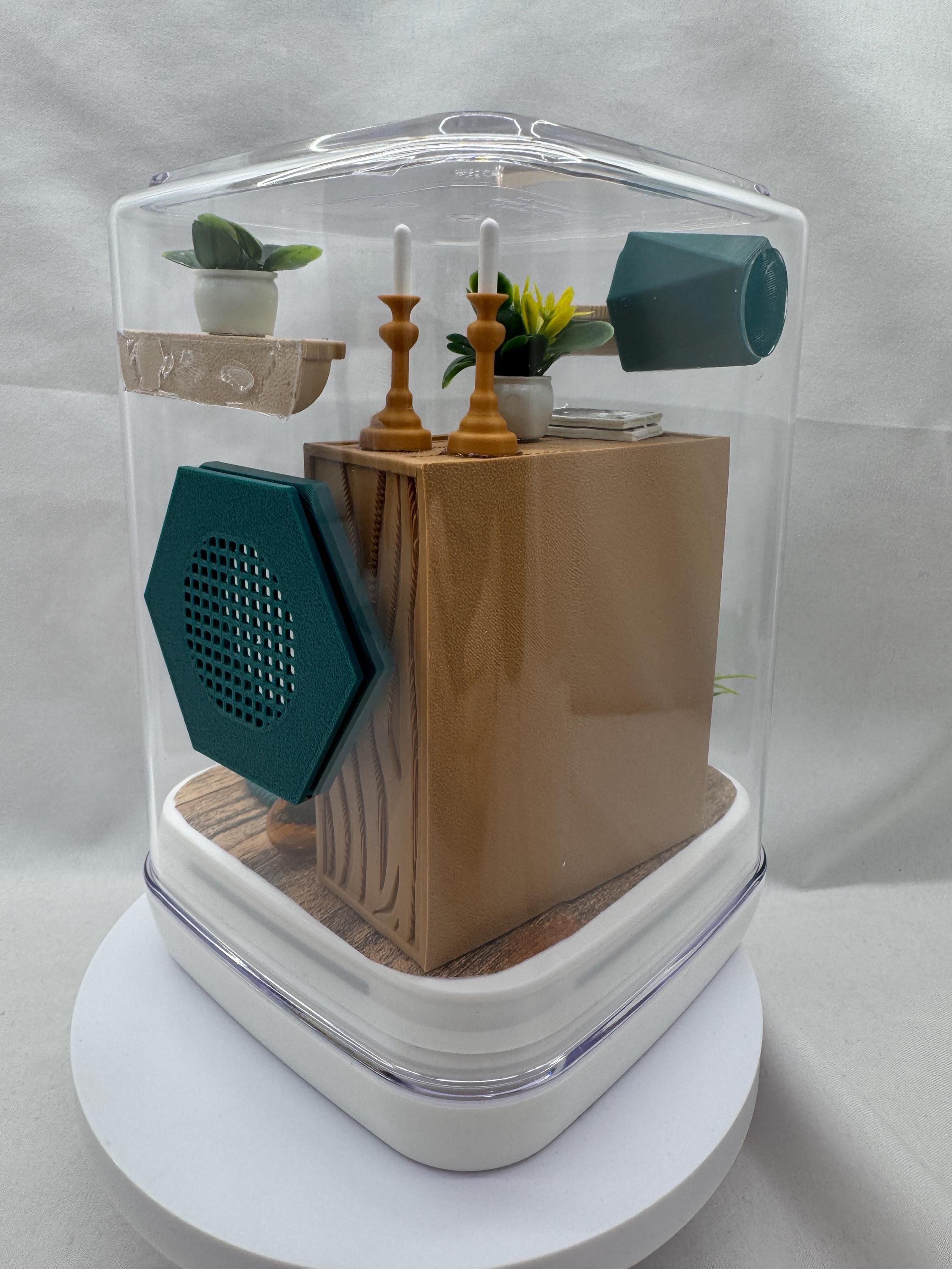 The spider study jumping spider enclosure