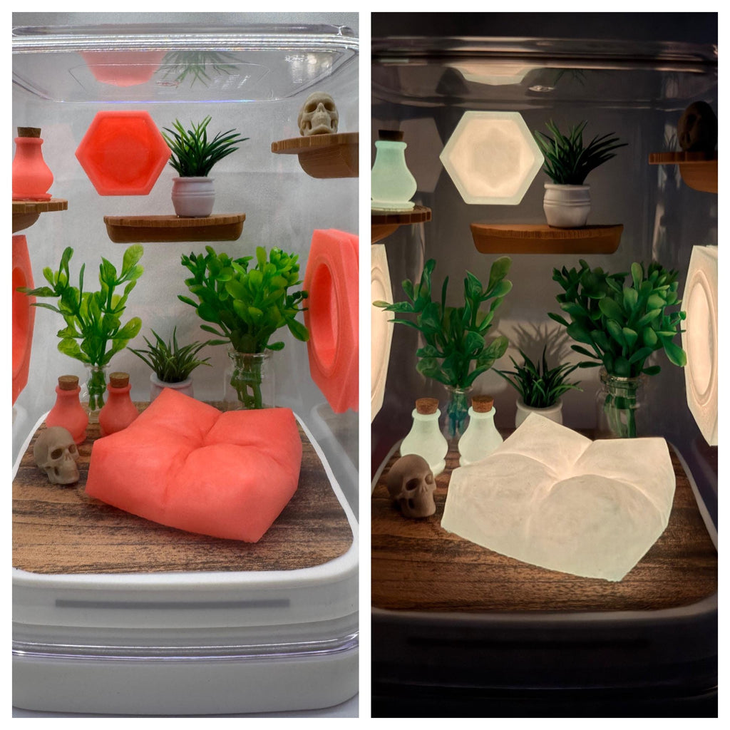 Coral Cove Glow jumping spider enclosure, pet house, home