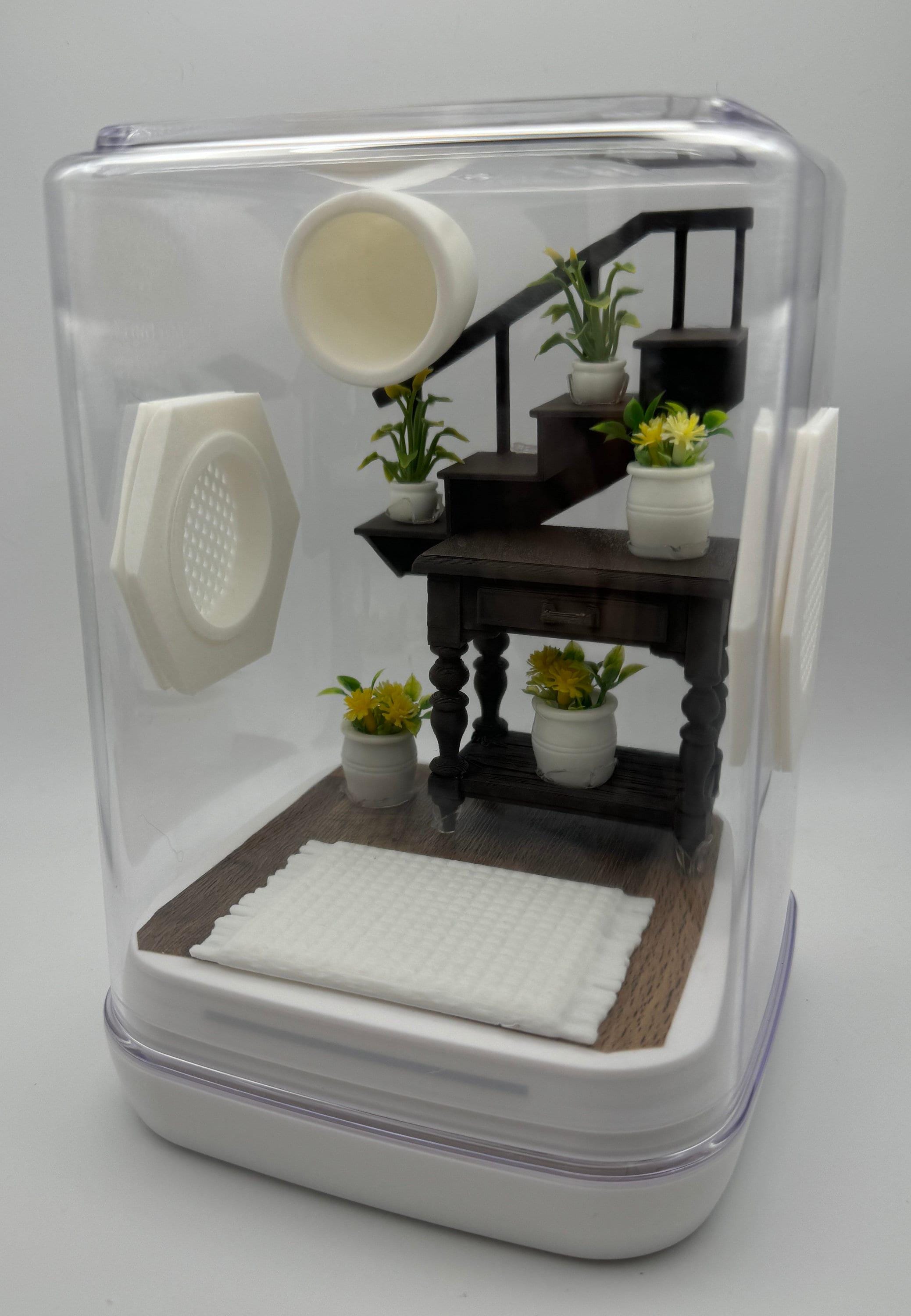 Jumping Spider Enclosure, Unique Staircase Habitat, Modern Pet Home