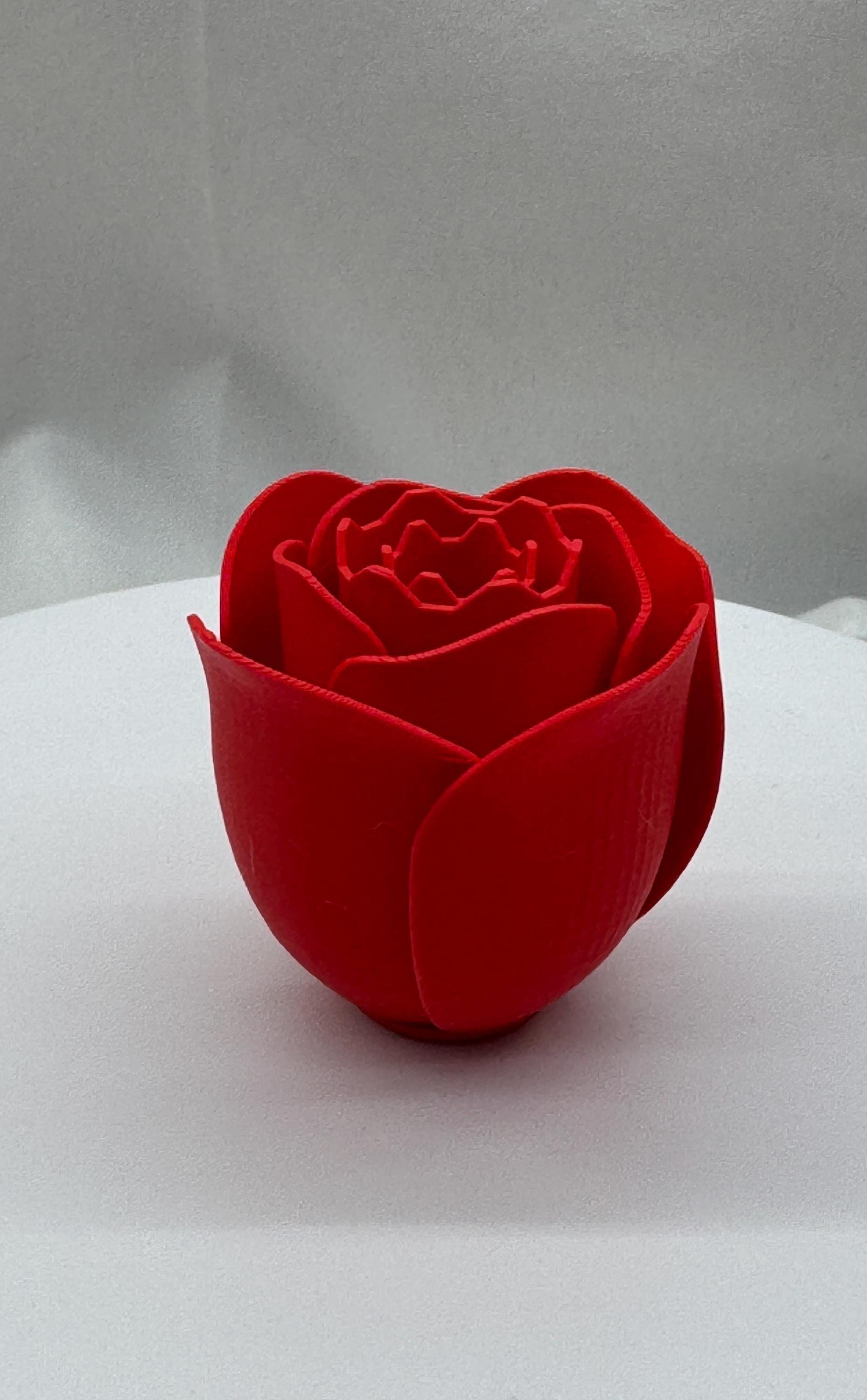 Magnetic Rose Hideout: Jumping Spider Enclosure Decor