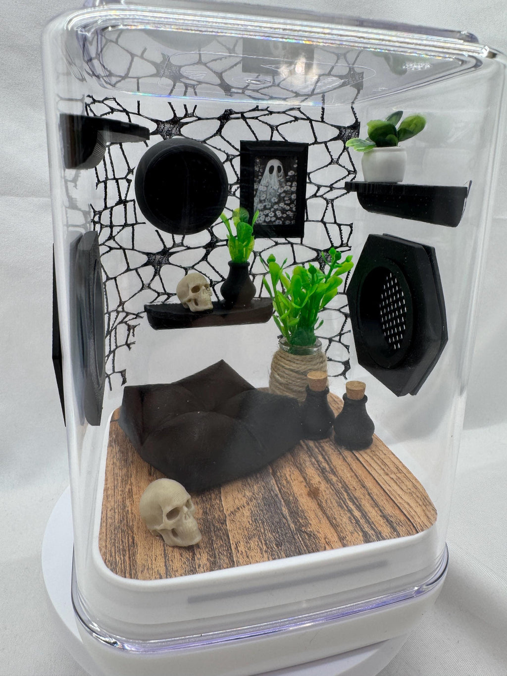 Webby Haven jumping spider enclosure, terrarium, acrylic, home