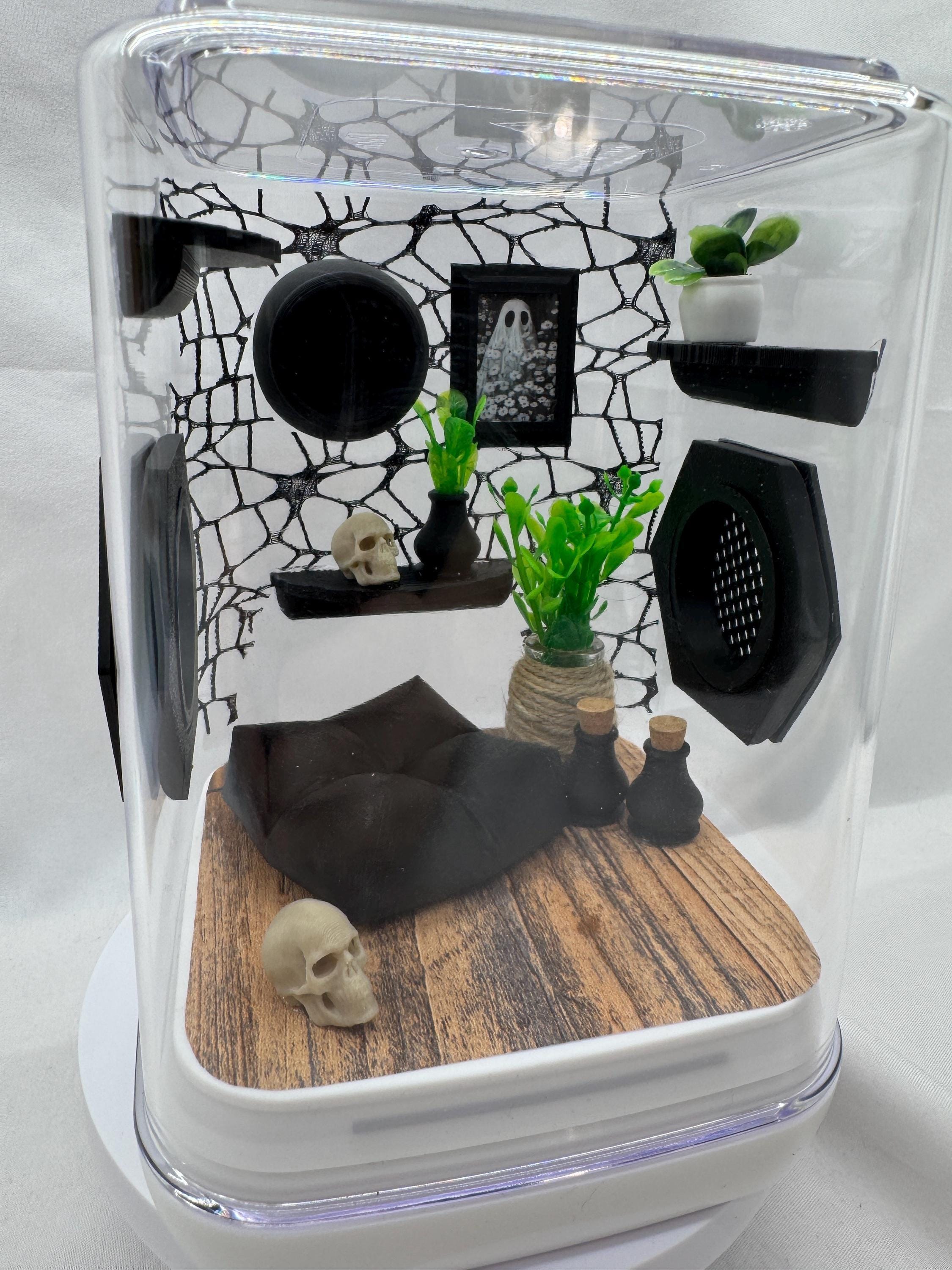 Webby Haven jumping spider enclosure, terrarium, acrylic, home