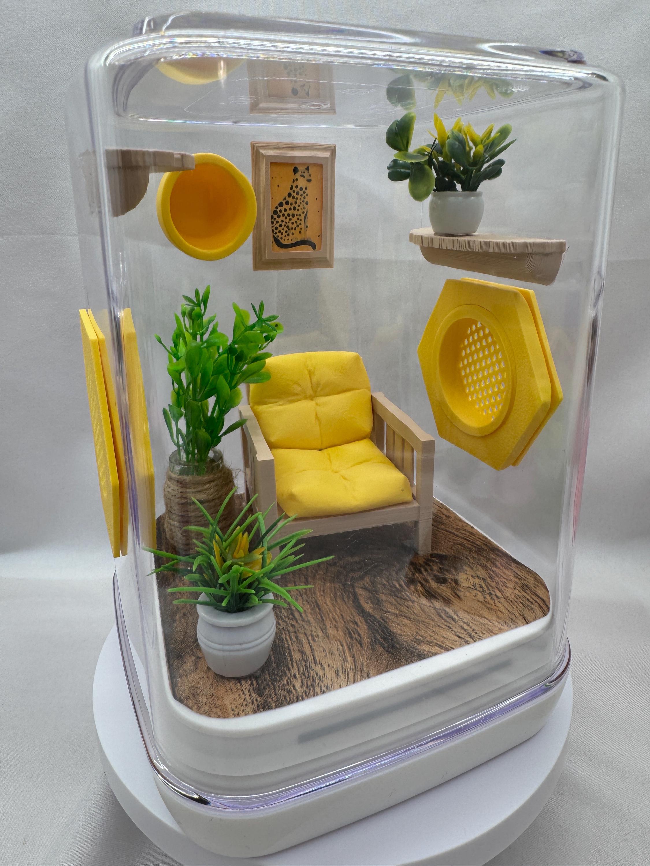 Jumping Spider Enclosure, Cute Terrarium, Buttercup Nook, Floral Decor