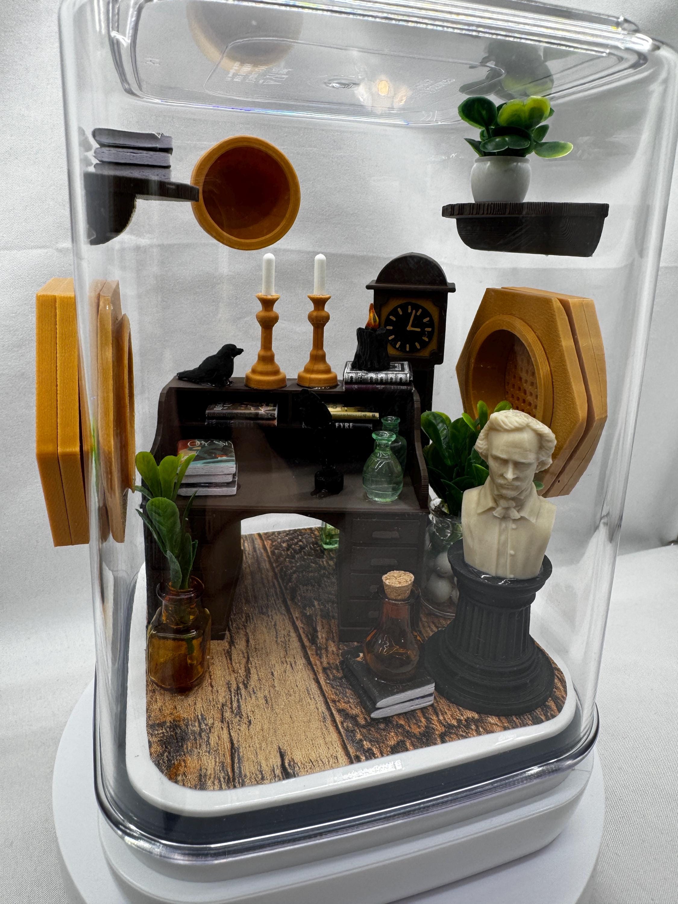 Edgar Allan Poe Jumping Spider Enclosure Accessories