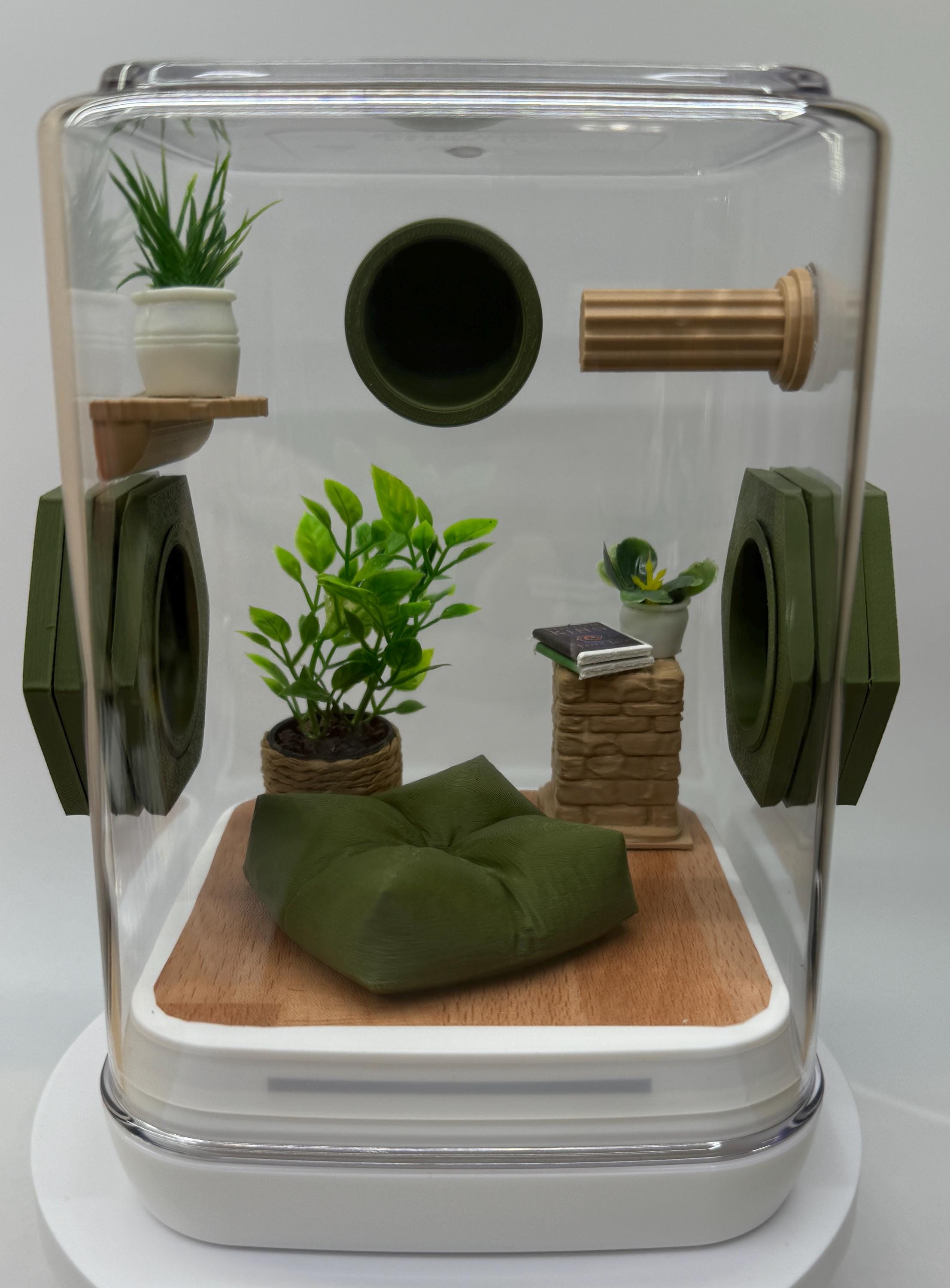 Decorated Jumping Spider Enclosure: Acrylic Terrarium (5x5x7 inches)