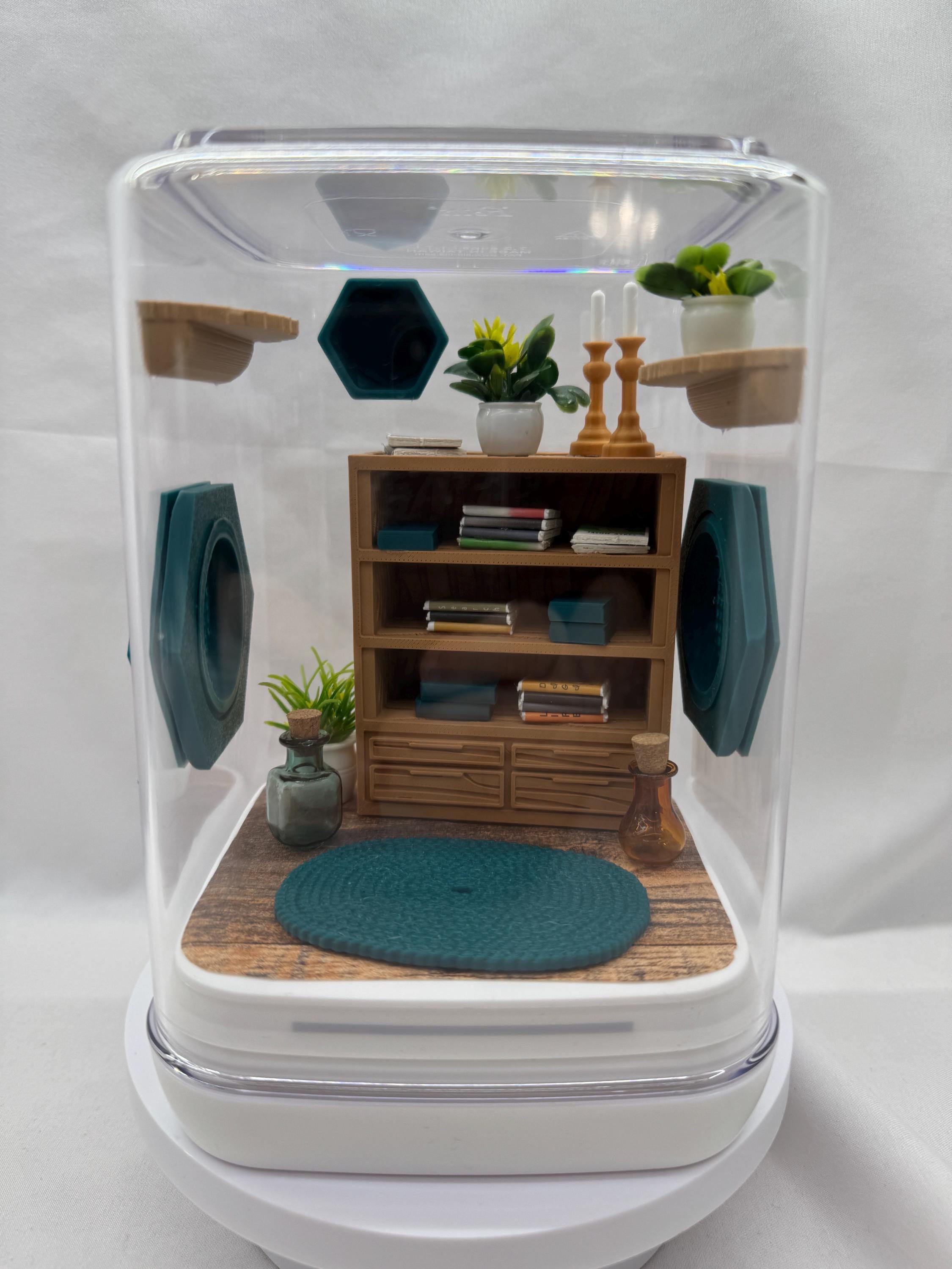 The spider study jumping spider enclosure