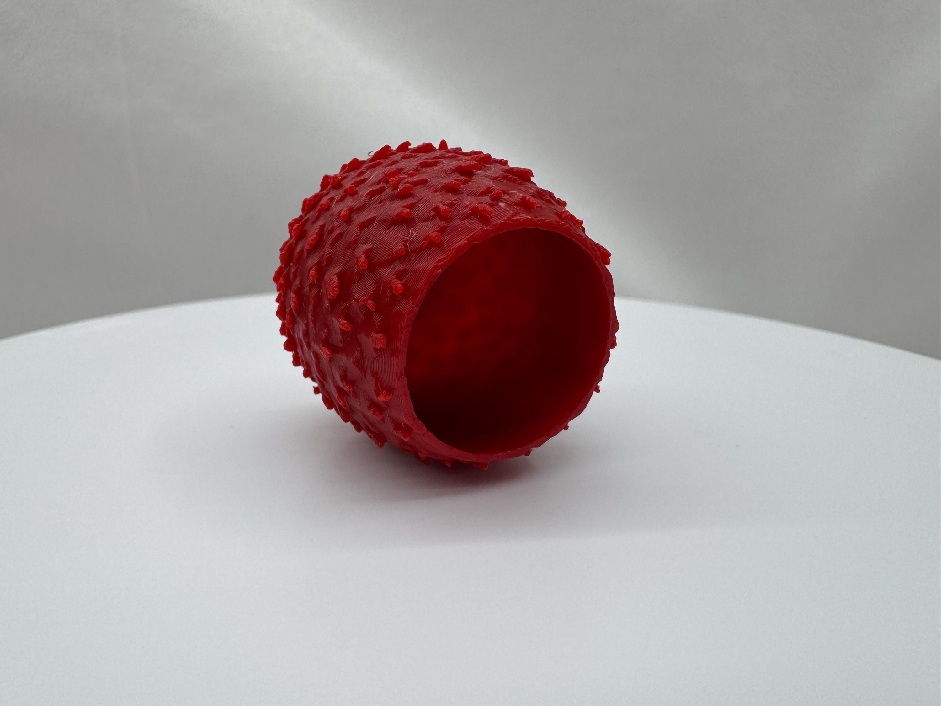 Dragon Egg Hide: Jumping Spider Enclosure Accessory