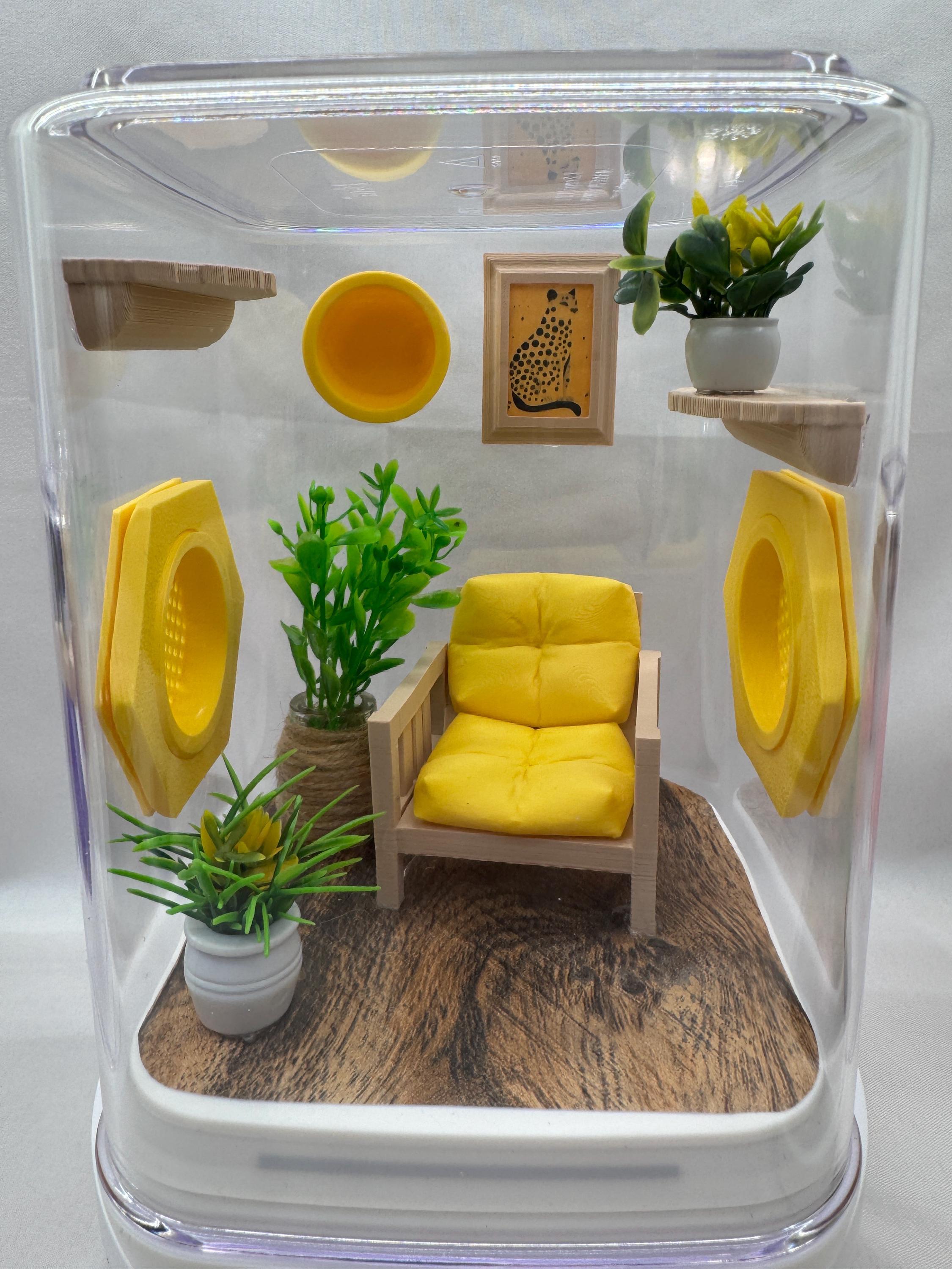 Accessory Pack for Buttercup nook jumping spider enclosure