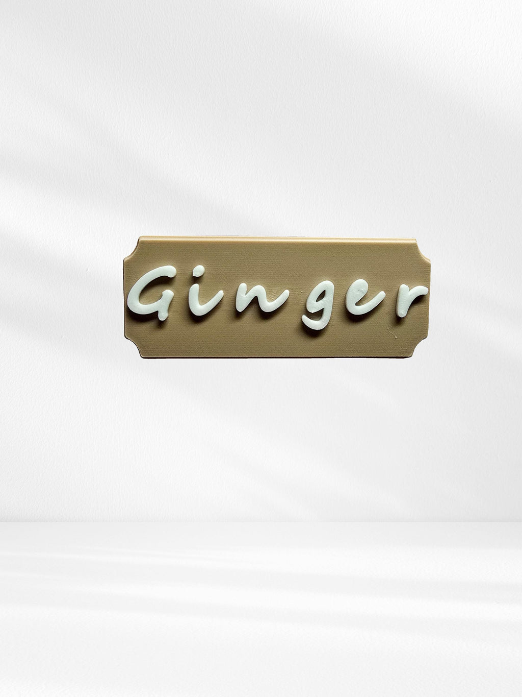 Personalized name tag, Magnetic, customizable, for spider and reptile enclosures.