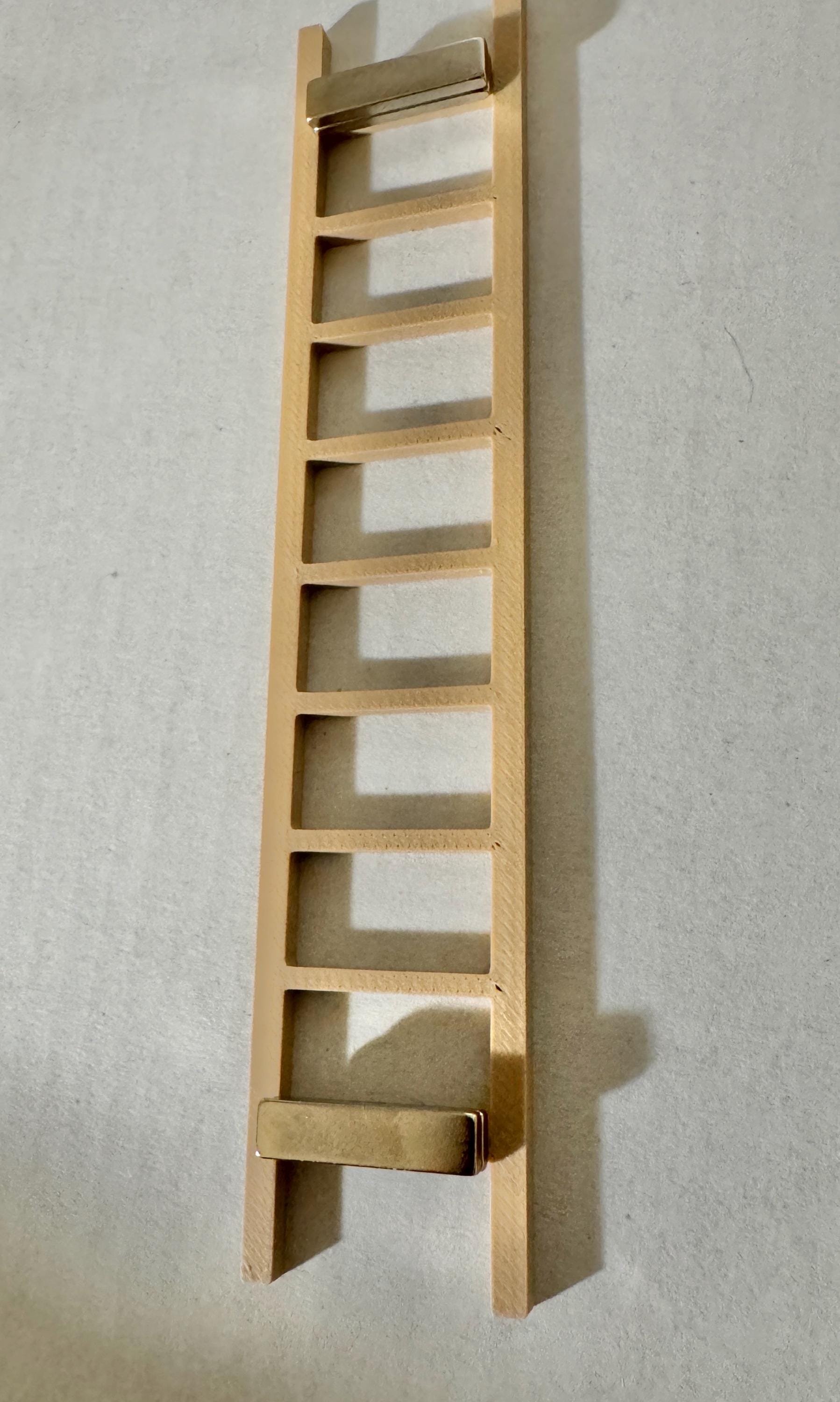 Miniature Ladder: Jumping Spider Enclosure Decor