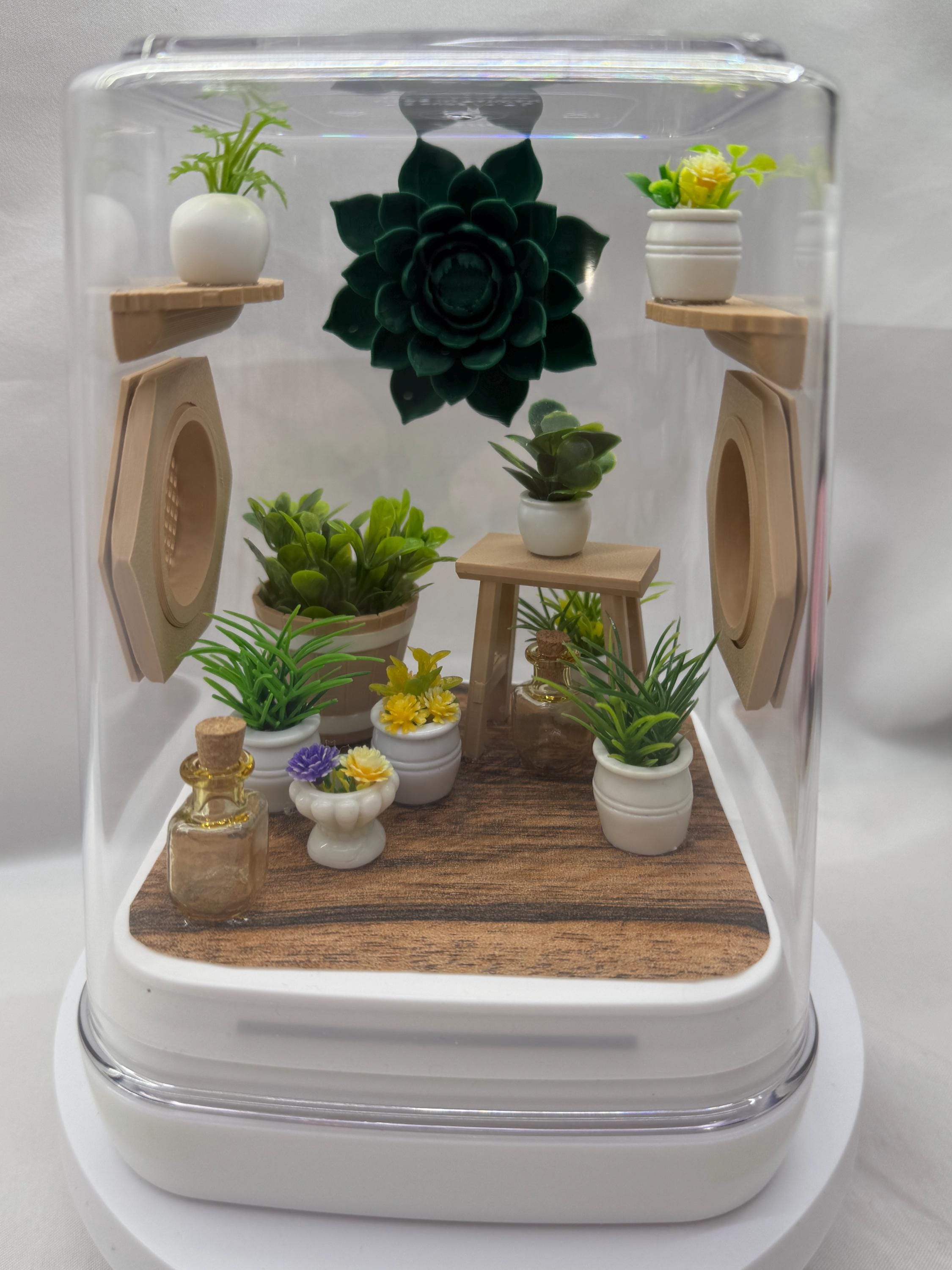 Sun Room Jumping Spider Enclosure - Custom Terrarium for Jumpers & Arachnids