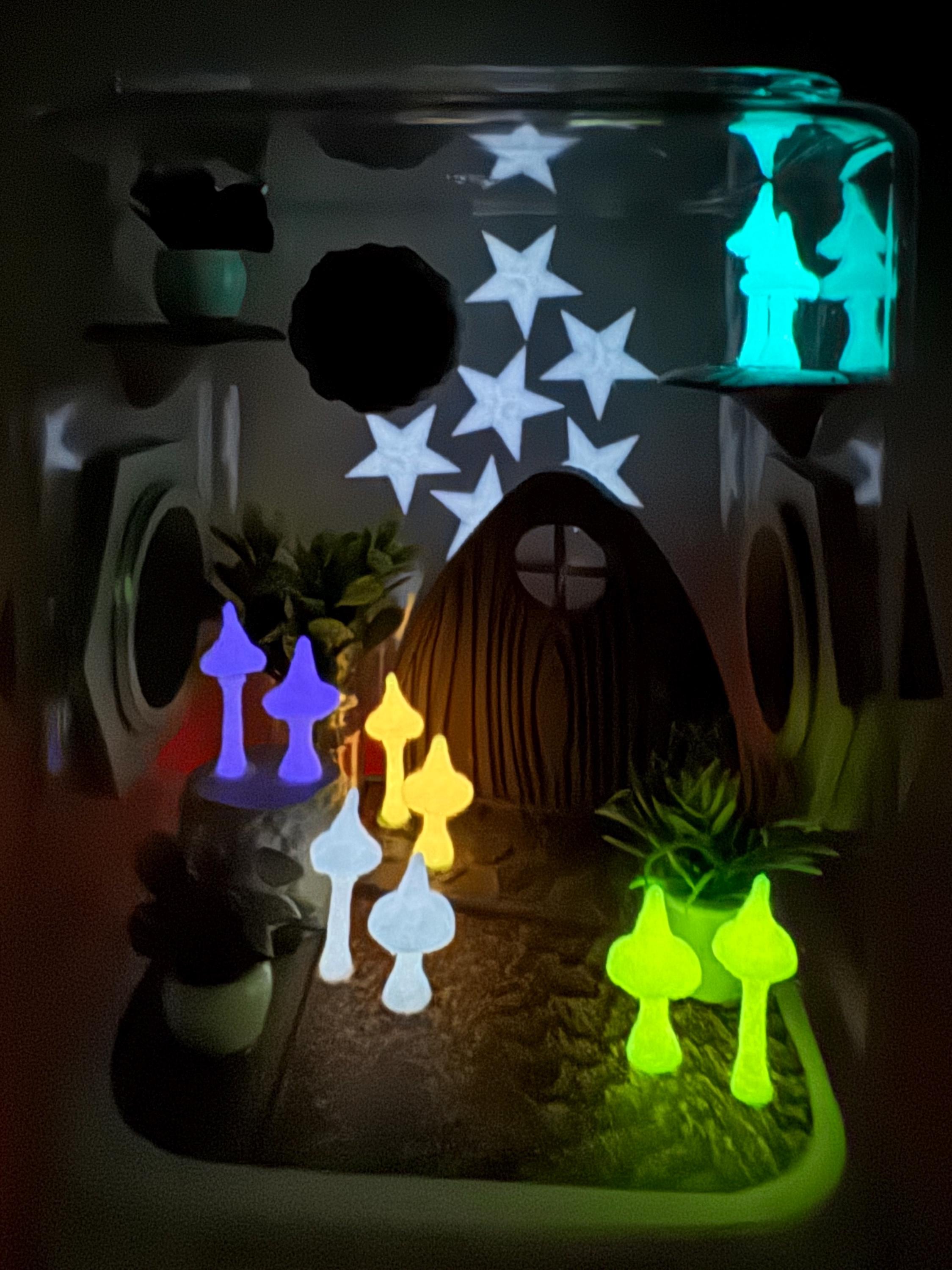 Glow Mushroom madness jumping spider enclosure,terrarium, acrylic, pet houses