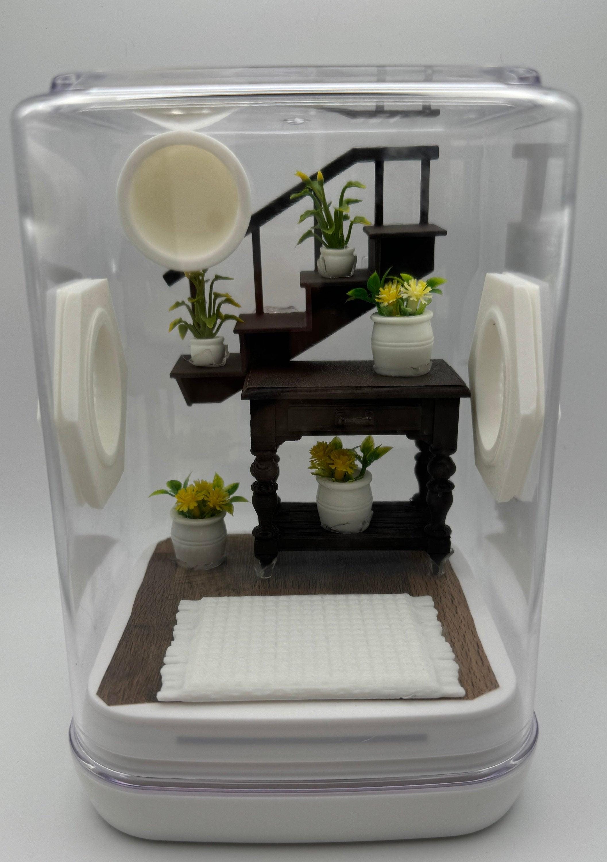 Jumping Spider Enclosure, Unique Staircase Habitat, Modern Pet Home