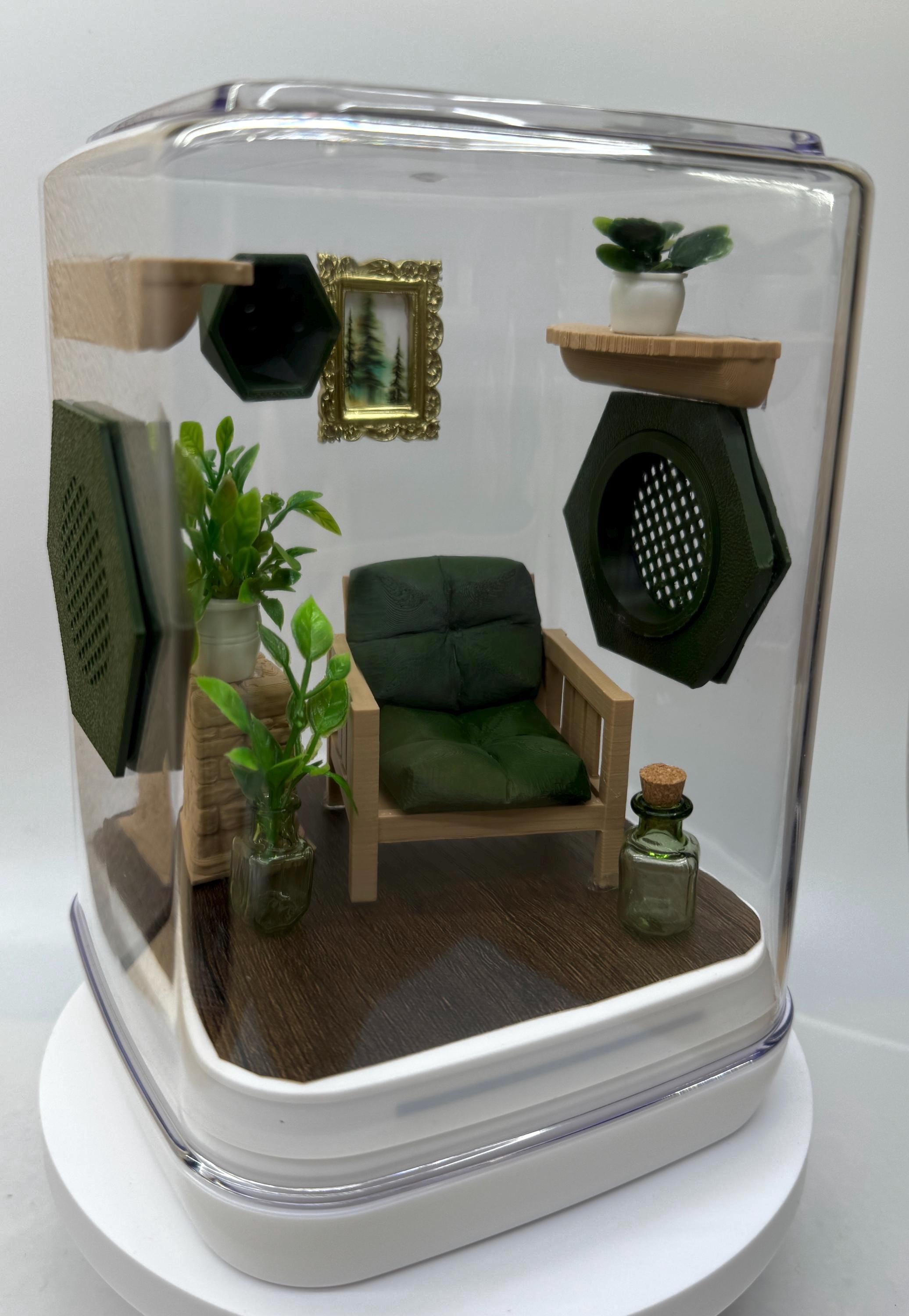 The Great Outdoors jumping spider enclosure