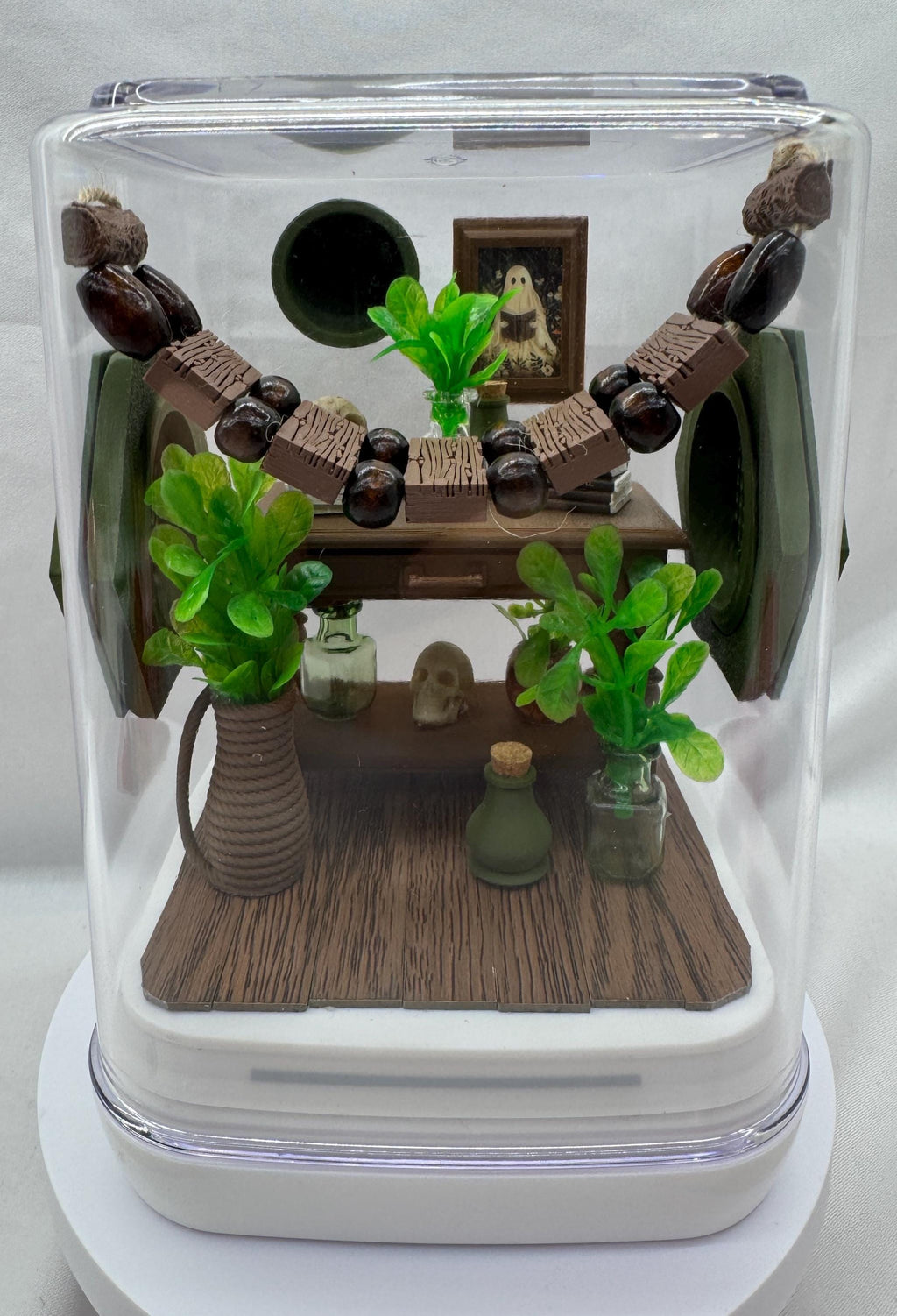Decorated Jumping Spider Enclosure: Jungle Study Terrarium (5x5x7 inches)