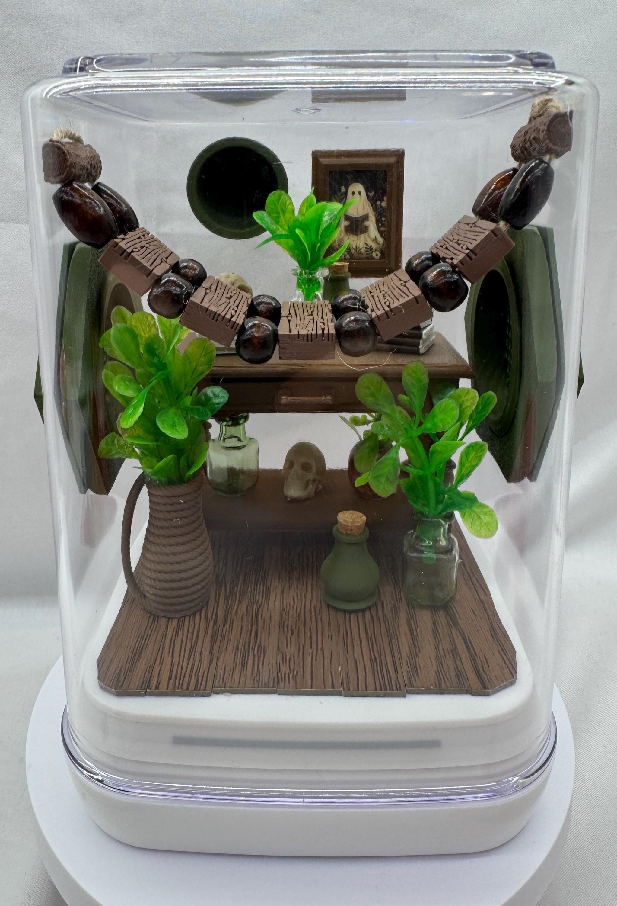 Decorated Jumping Spider Enclosure: Jungle Study Terrarium (5x5x7 inches)