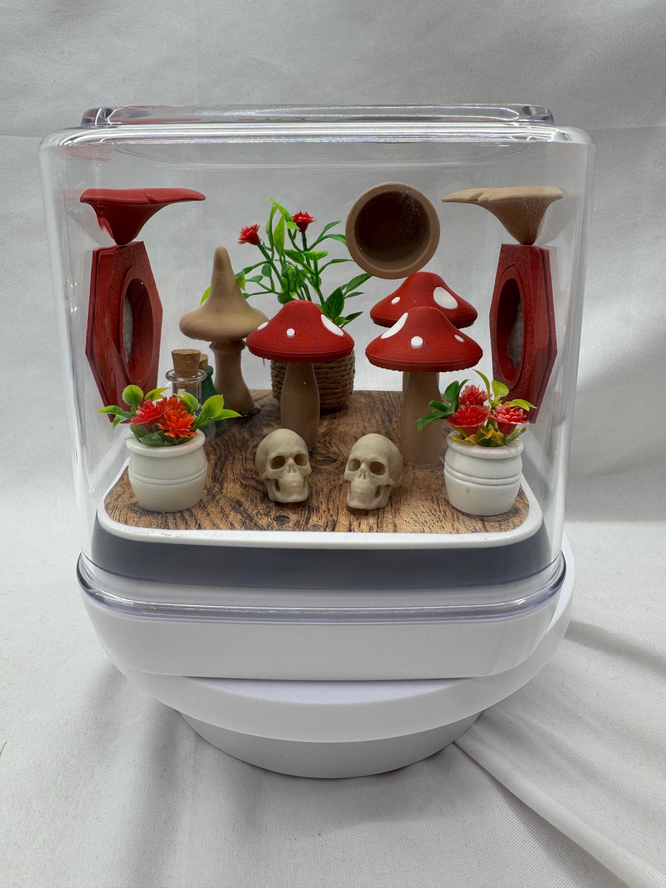 Mini mushroom jumping spider enclosure