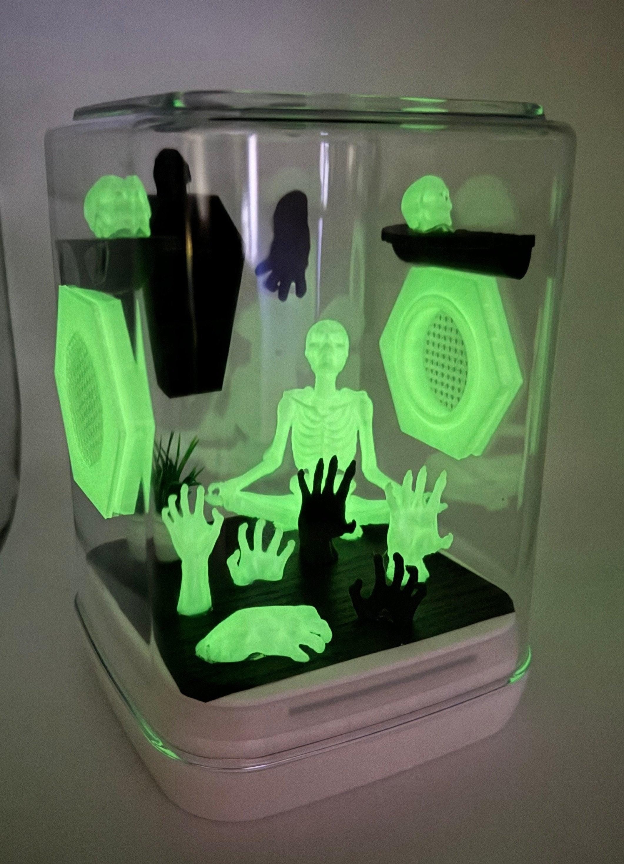 Glowing Ghoul Jumping Spider Enclosure: Acrylic Terrarium (5x5x7 inches)