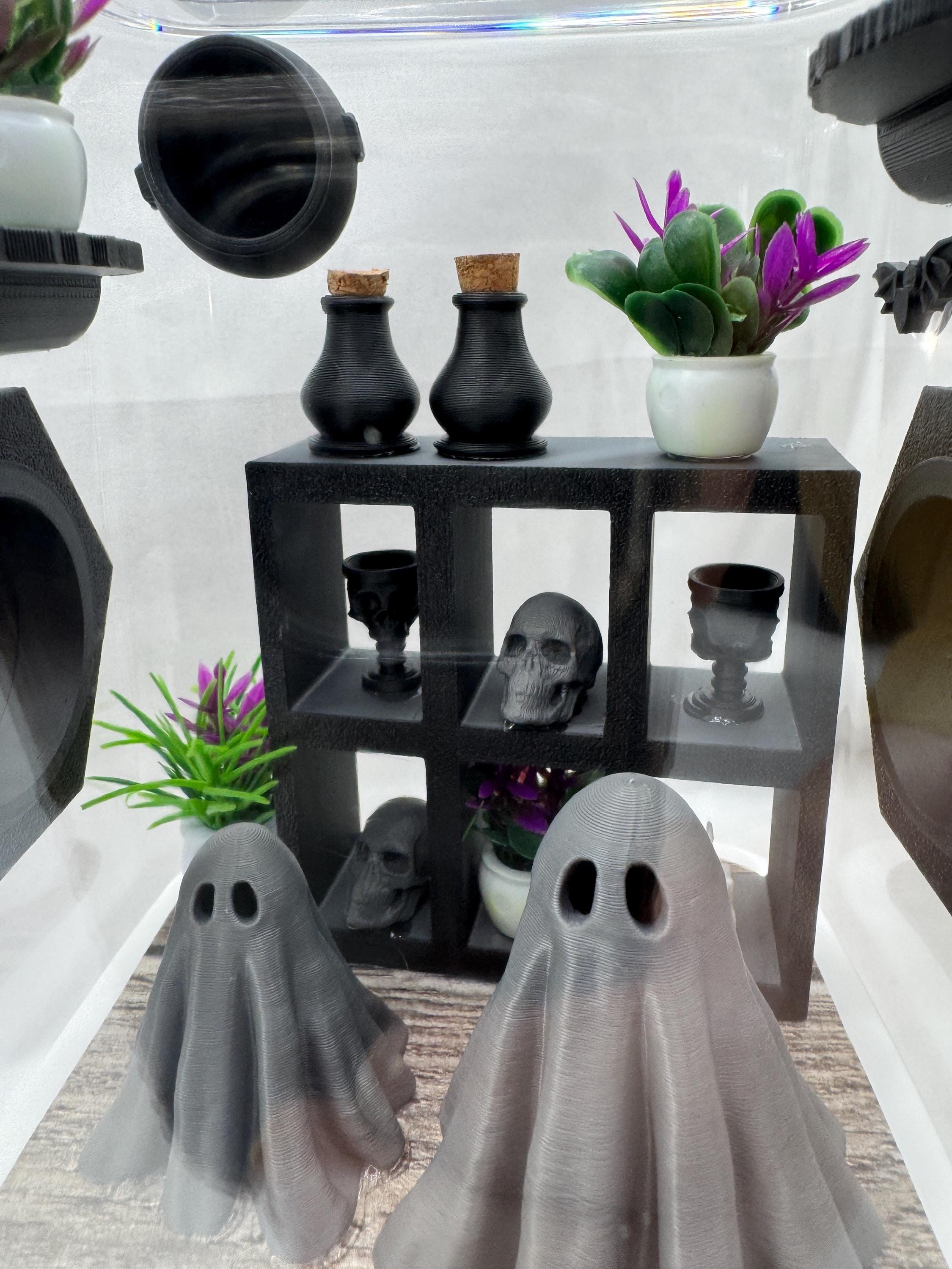 Jumping Spider Enclosure, Haunted Ghost Mansion, Spooky Decor, Acrylic, 3D Printed