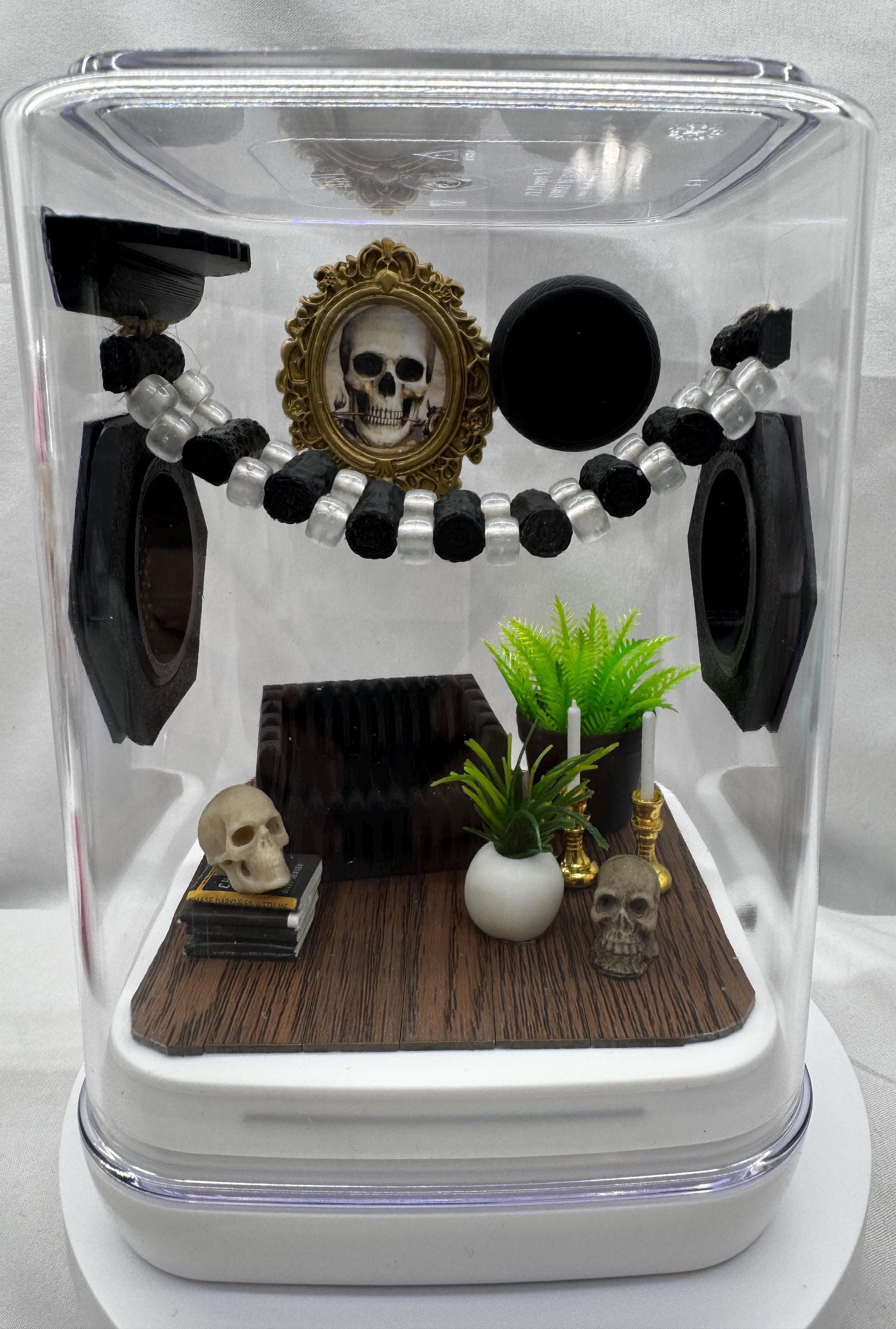 Spooky Study Accessory Pack: Jumping Spider Enclosure Decor