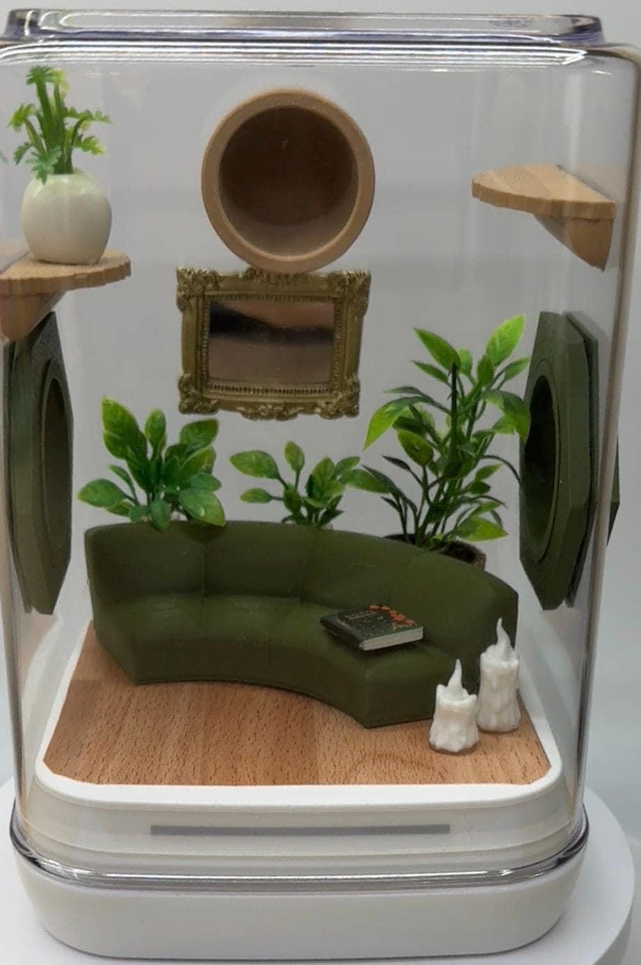 The Comfy Couch jumping spider enclosure