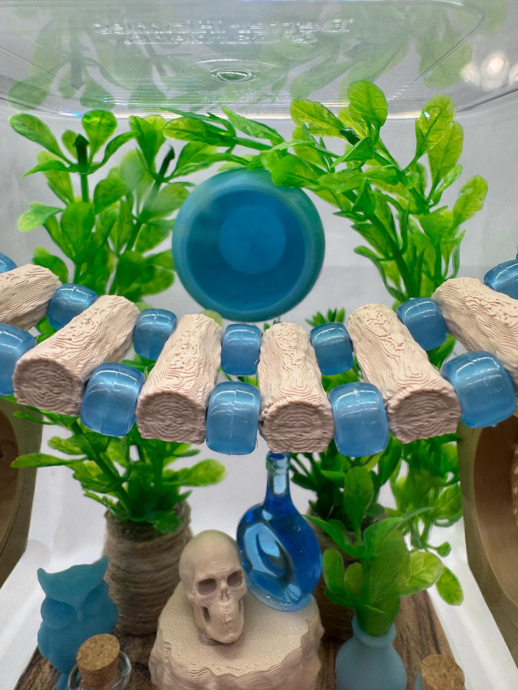 Blue Glow jumping spider enclosure, pet house, home