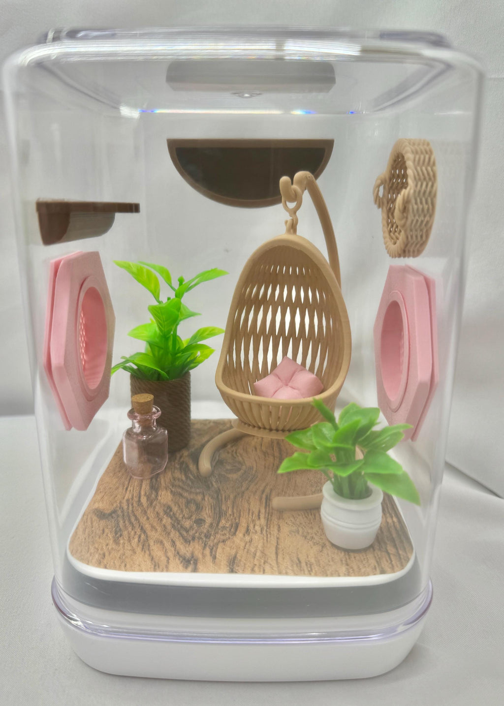 Accessory pack for Boho jumping spider decor, terrarium accessories