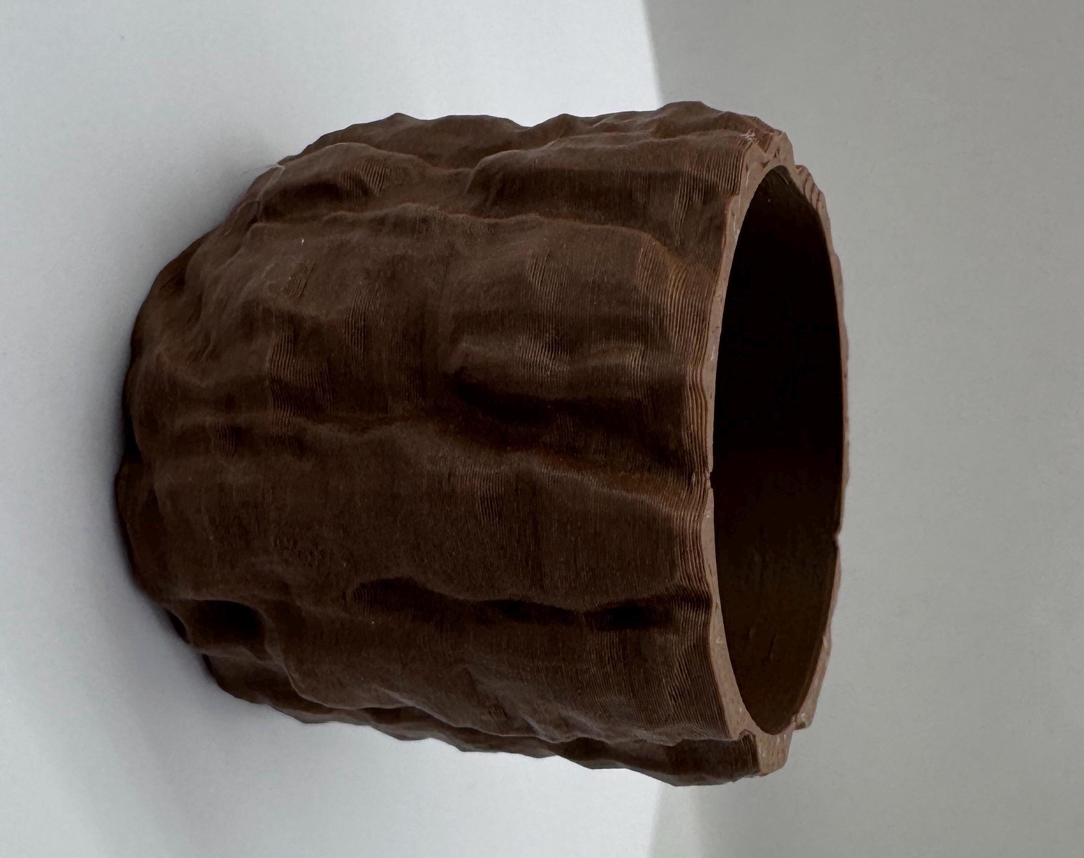 Bark Hide for Jumping Spider Enclosure