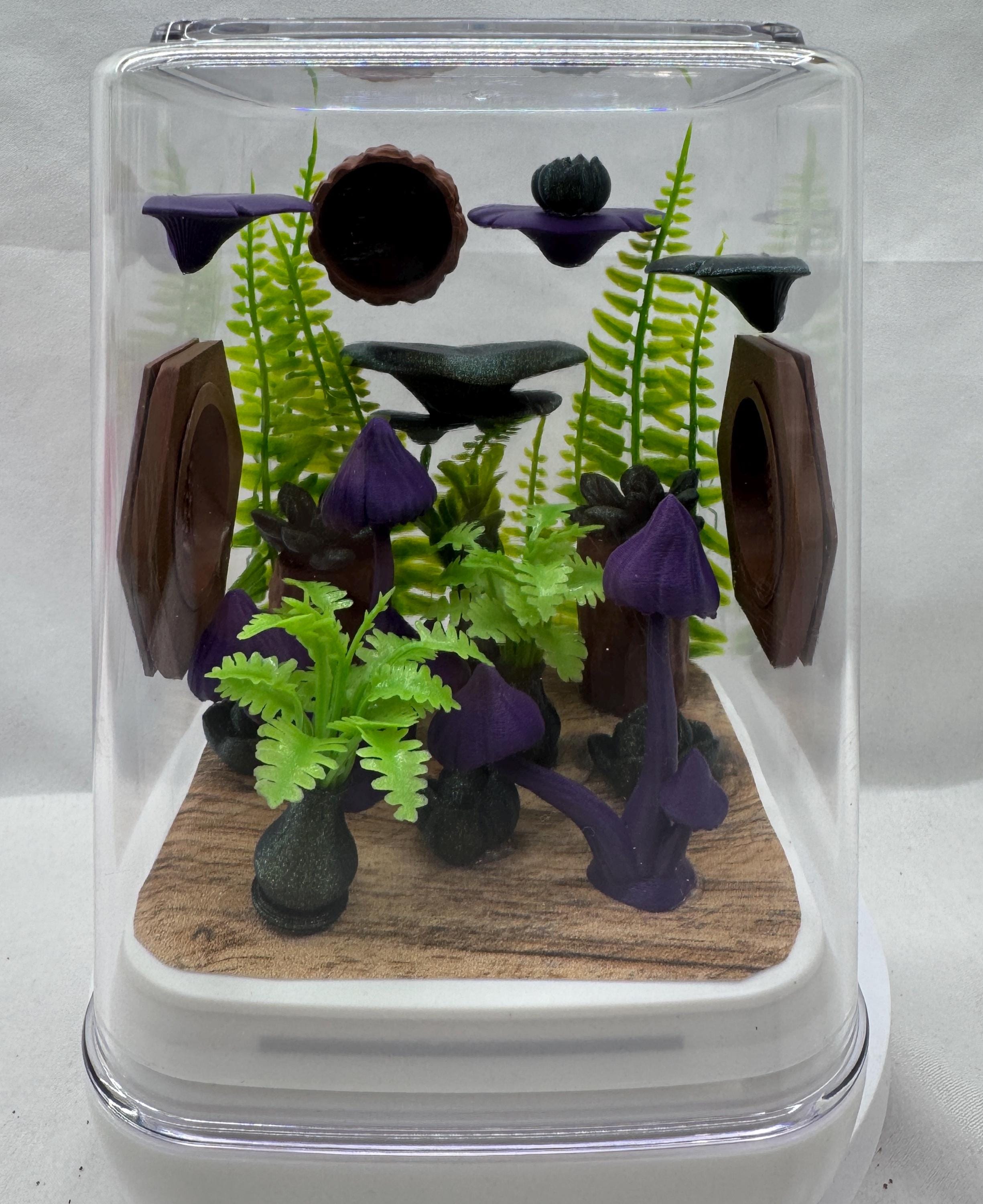 Rainforest-Themed Jumping Spider Enclosure, Decorated Pet House, Habitat, Custom Spider Hide, Terrarium Accessories