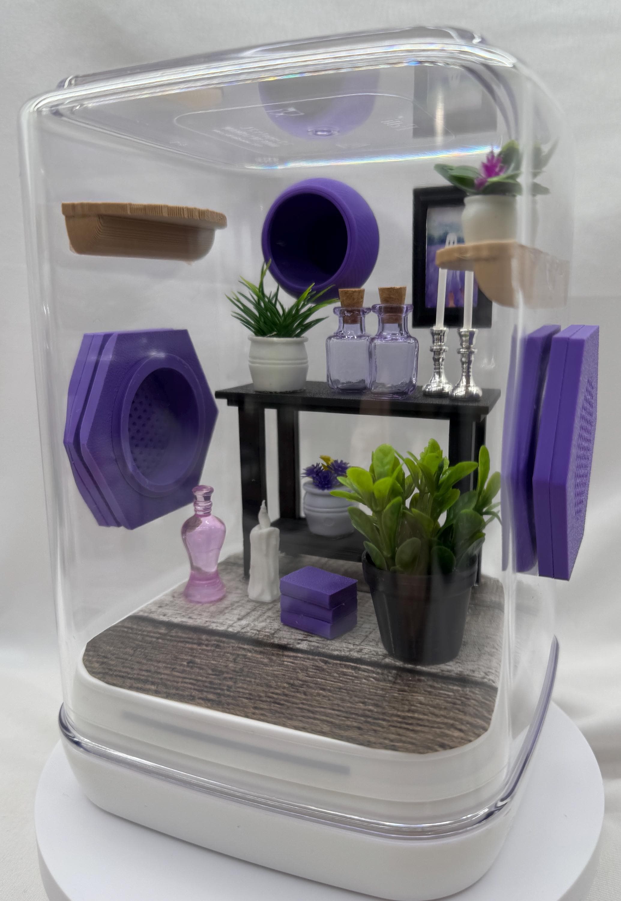 Decor for The Spooky Spider Den jumping spider enclosure accessories