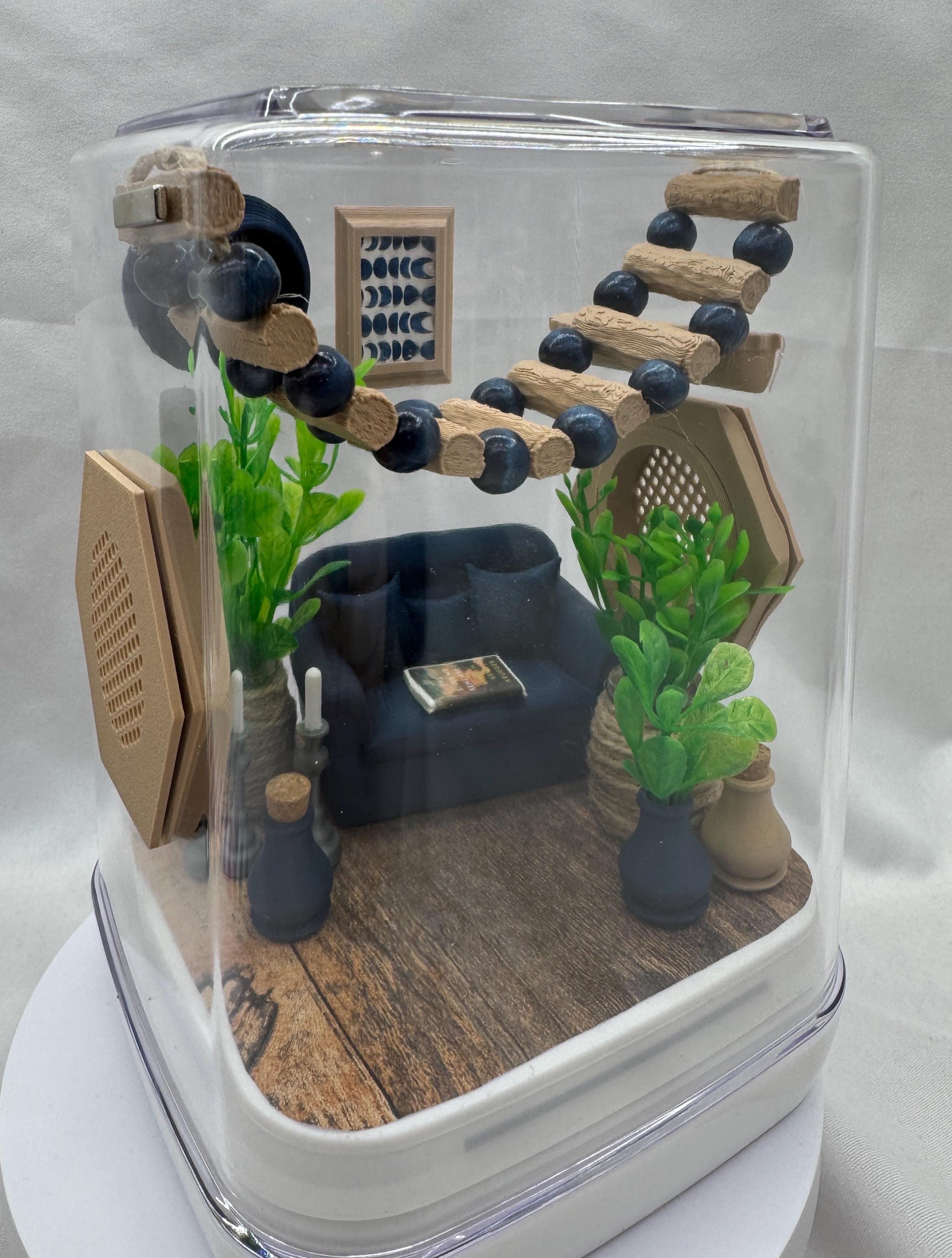 The Chic Spood Crib jumping spider enclosure, pet house, home