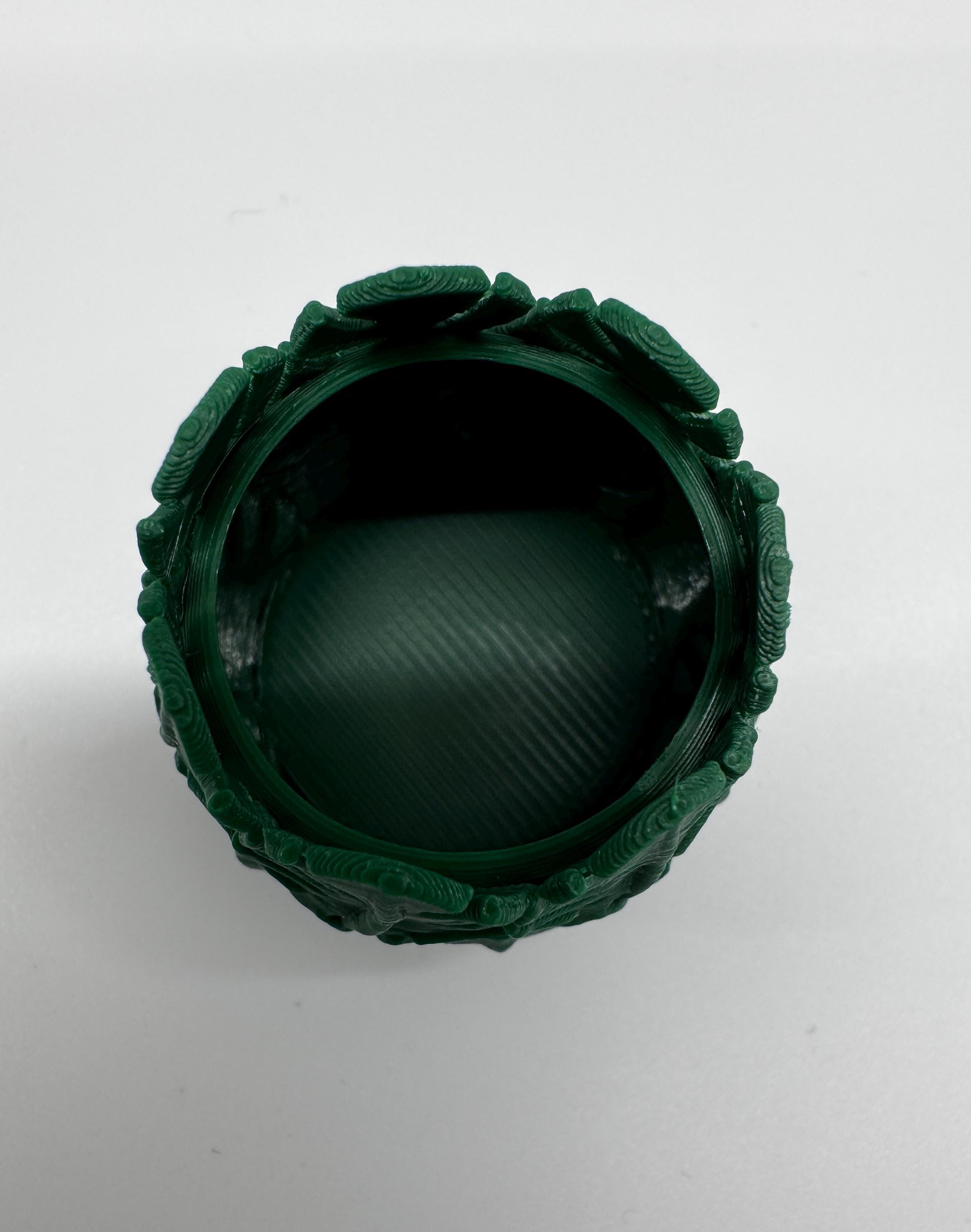Leaf Hide for Jumping Spider Enclosure: Accessories