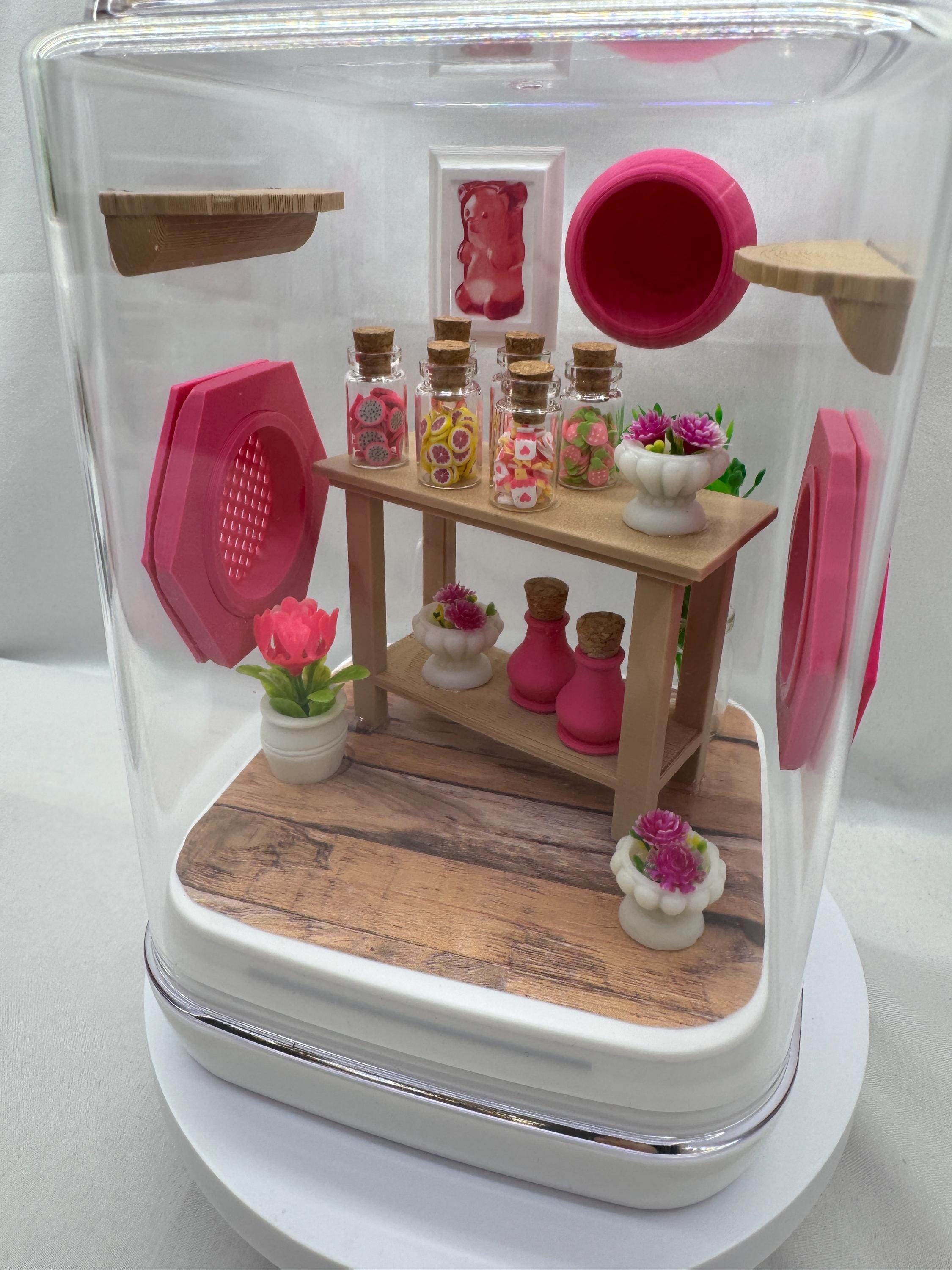 Decorated Jumping Spider Enclosure: Candy Shop Theme (5x5x7 inches)