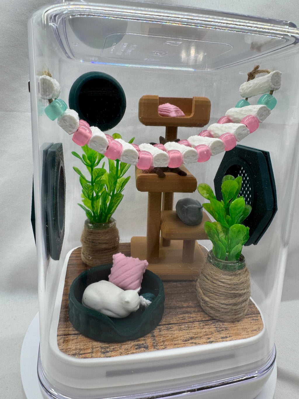 Cat-Themed Enclosure for Arachnid Pets - Safe, Custom Terrarium & Home - Decor-Adorable Jumping Spider Habitat