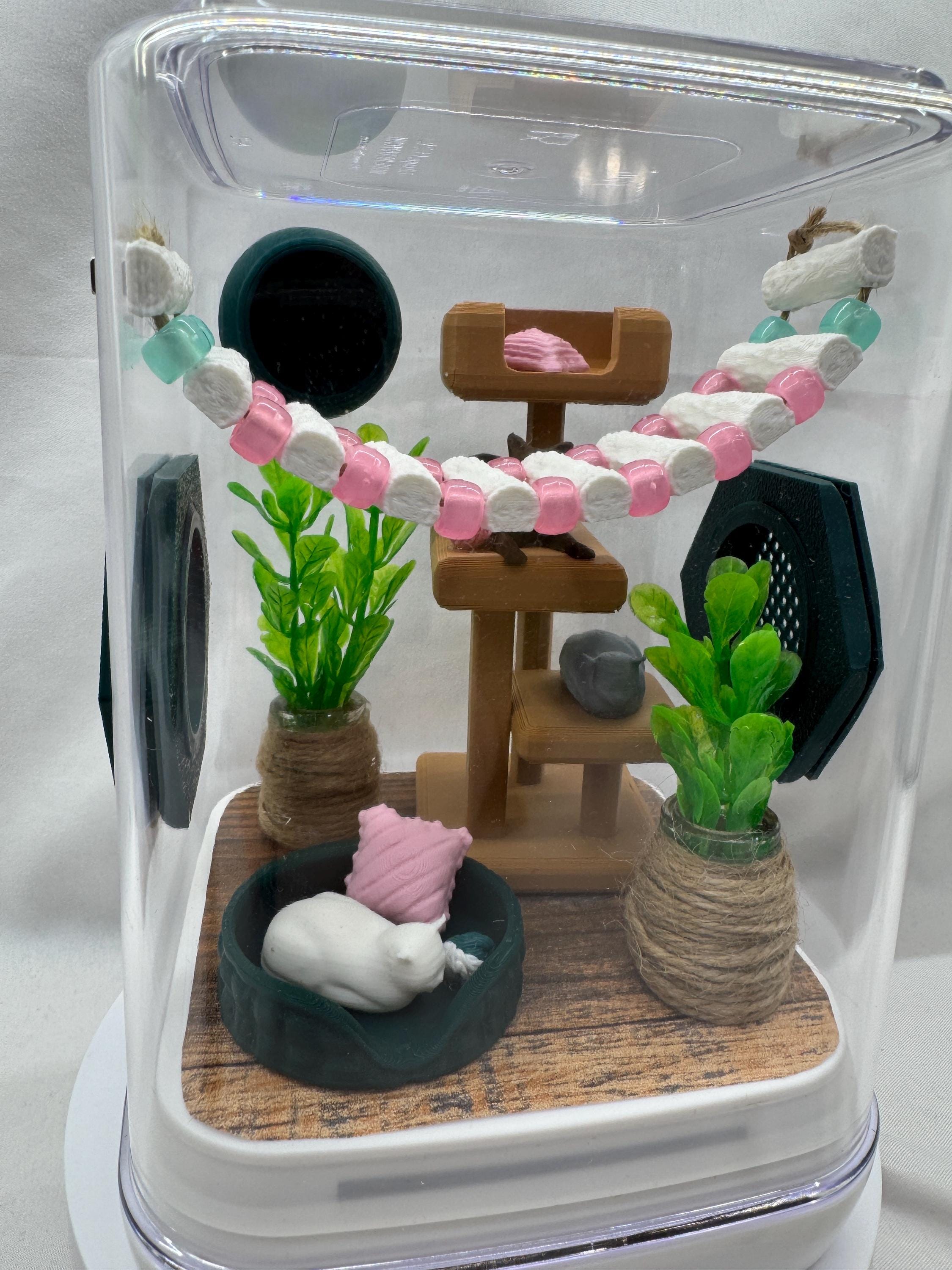 Cat-Themed Enclosure for Arachnid Pets - Safe, Custom Terrarium & Home - Decor-Adorable Jumping Spider Habitat