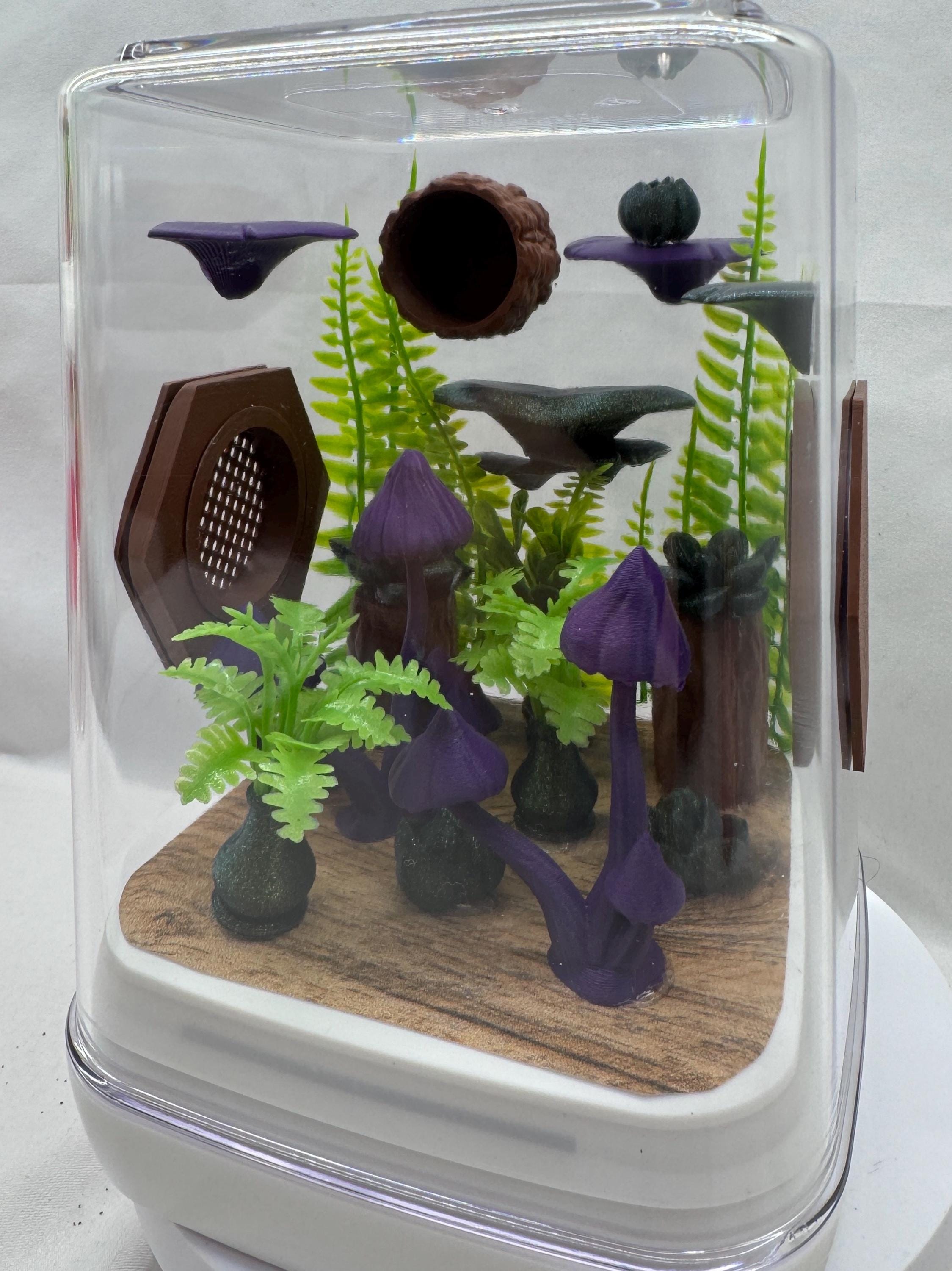 Rainforest-Themed Jumping Spider Enclosure, Decorated Pet House, Habitat, Custom Spider Hide, Terrarium Accessories