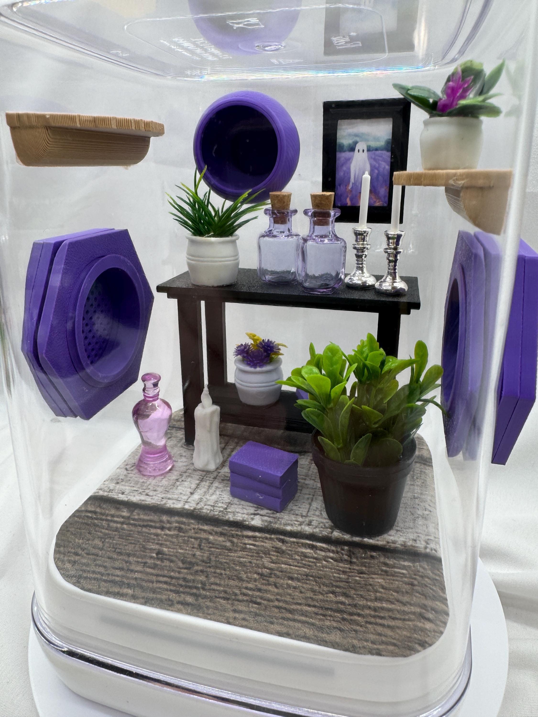 Decor for The Spooky Spider Den jumping spider enclosure accessories