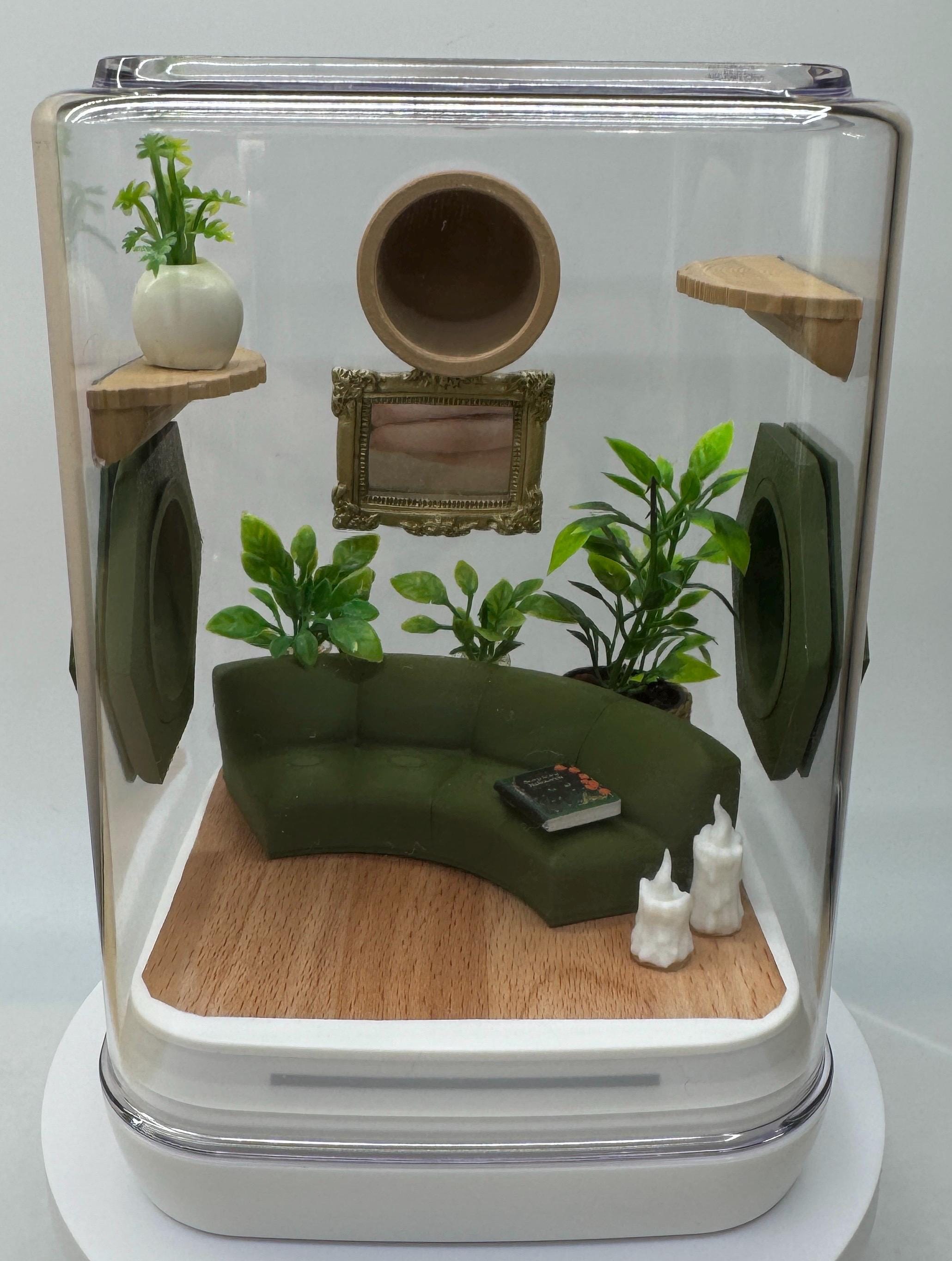 The Comfy Couch jumping spider enclosure