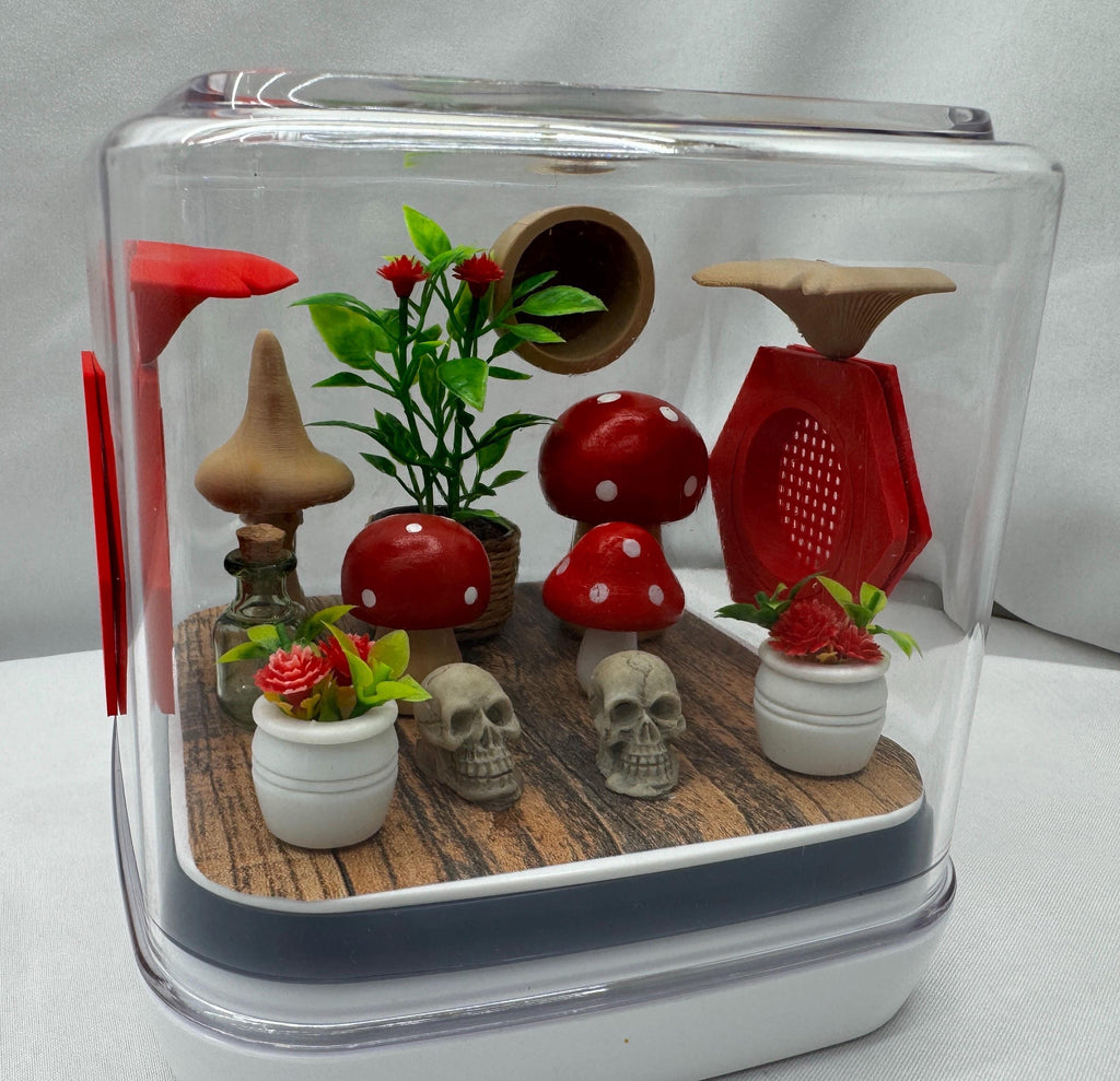 Mini mushroom jumping spider enclosure