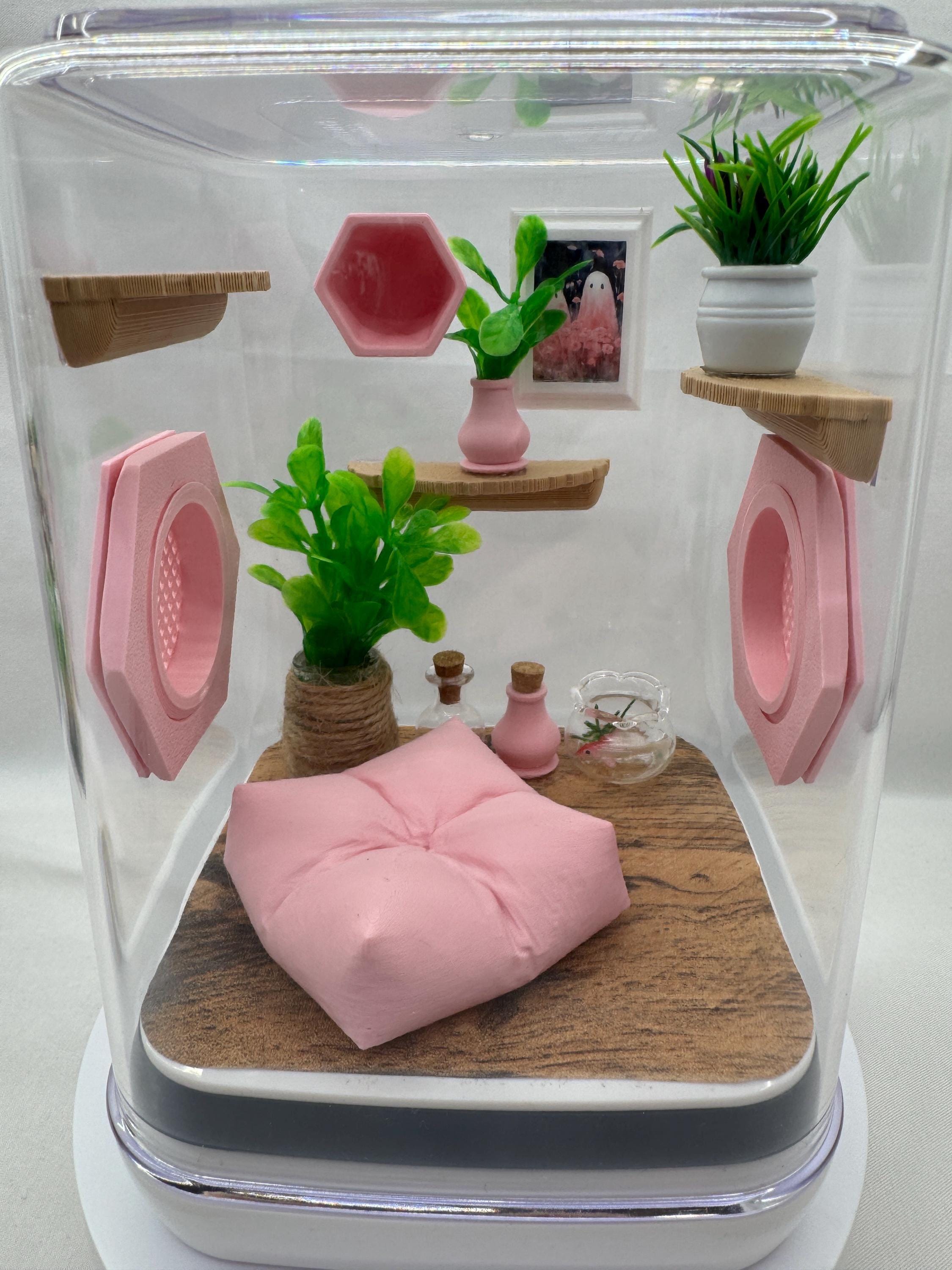 Pink Paradise Jumping Spider Terrarium: Customizable Enclosure & Accessories for Pet Arachnids