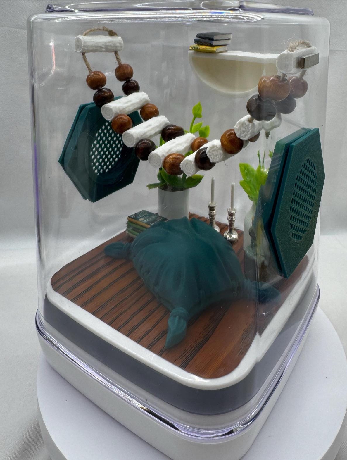 The Boho Room jumping spider enclosure, jumping spiders, enclosures, terrarium