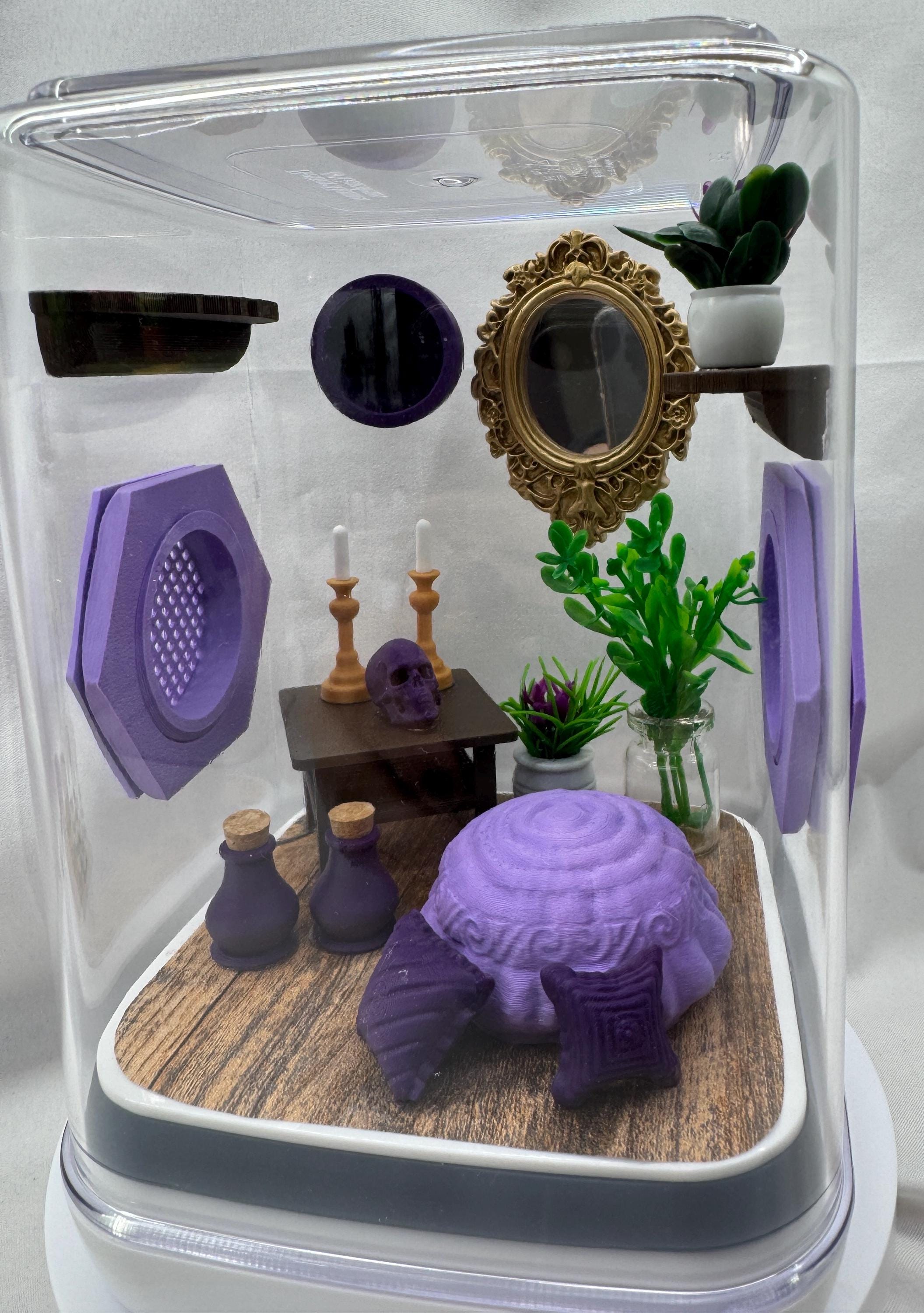 Elegant Jumping Spider Terrarium: Custom 3D Printed Habitat for Arachnid Enthusiasts