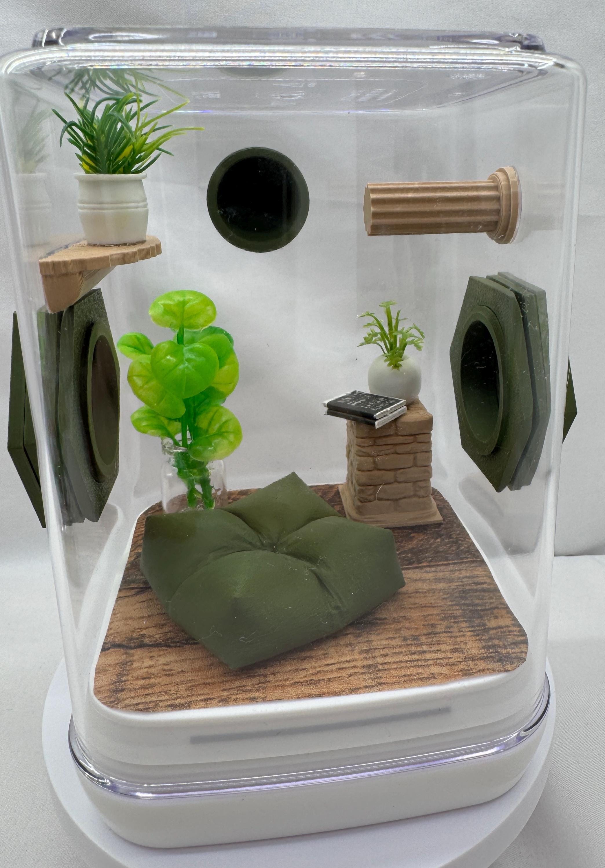 Accessory Pack for Jumping spiders,  enclosure decorations, Olive Nook