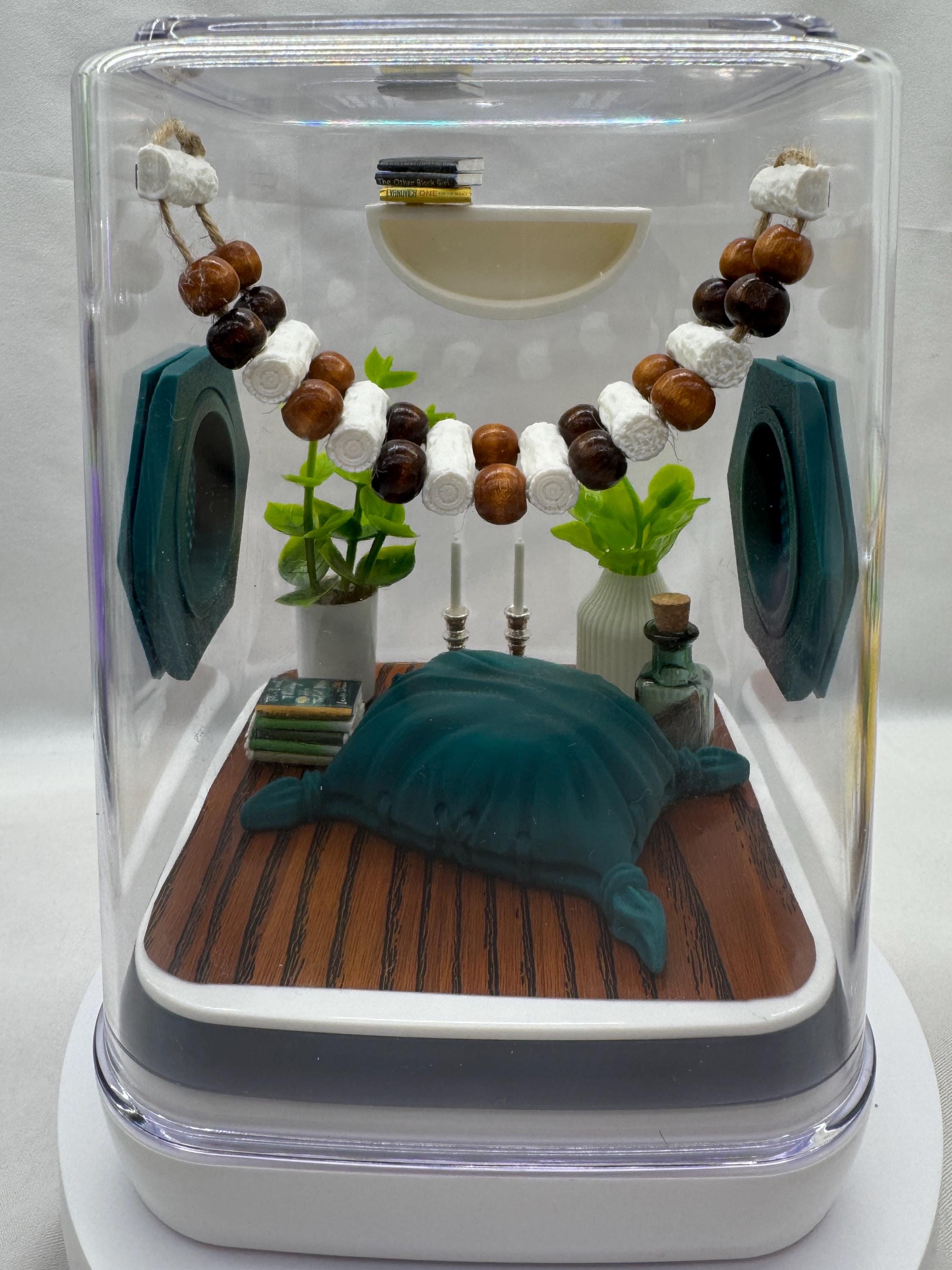 The Boho Room jumping spider enclosure, jumping spiders, enclosures, terrarium