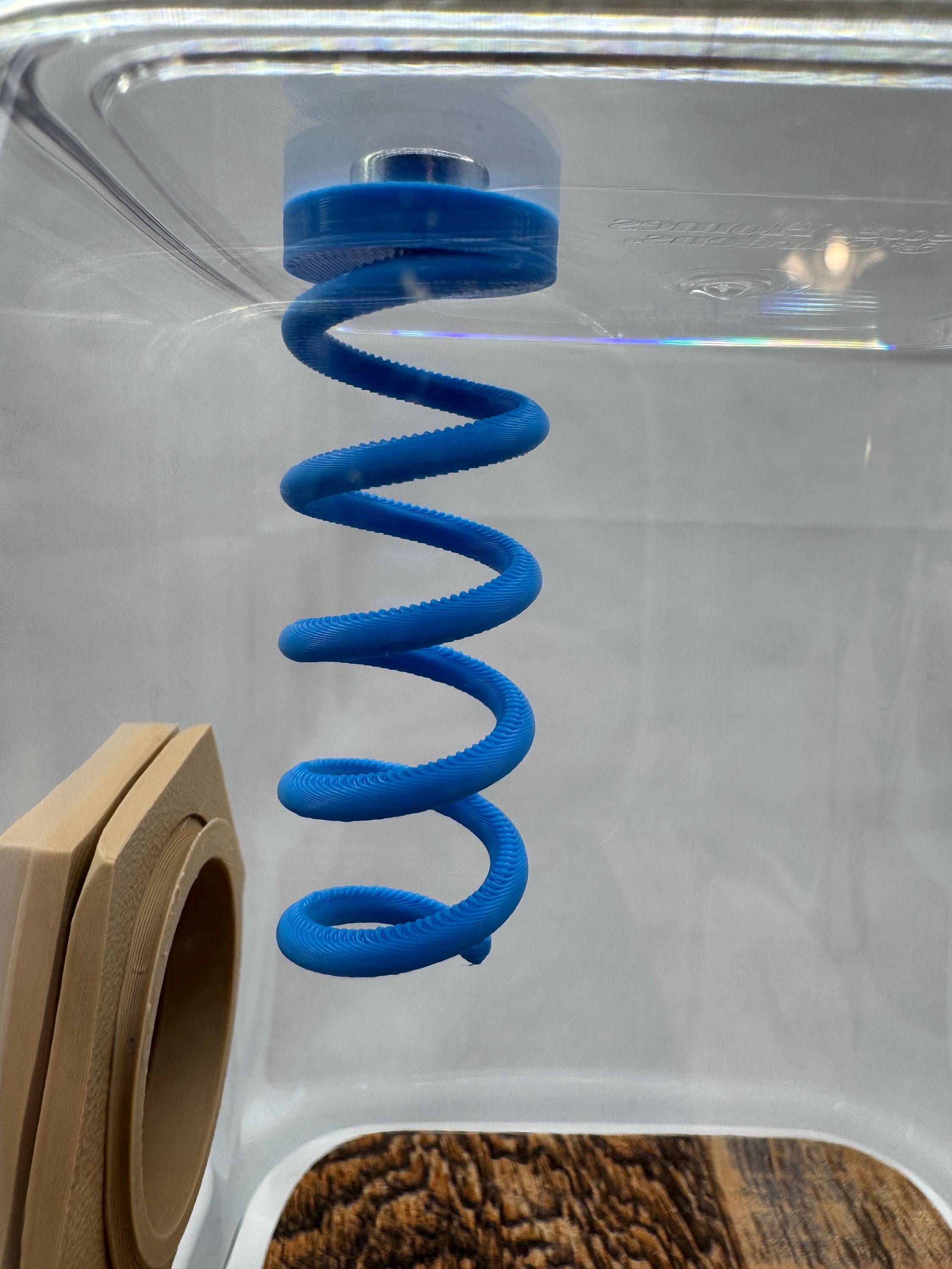 Jumping Spider Magnetic Sling Spring: Enrichment Decor
