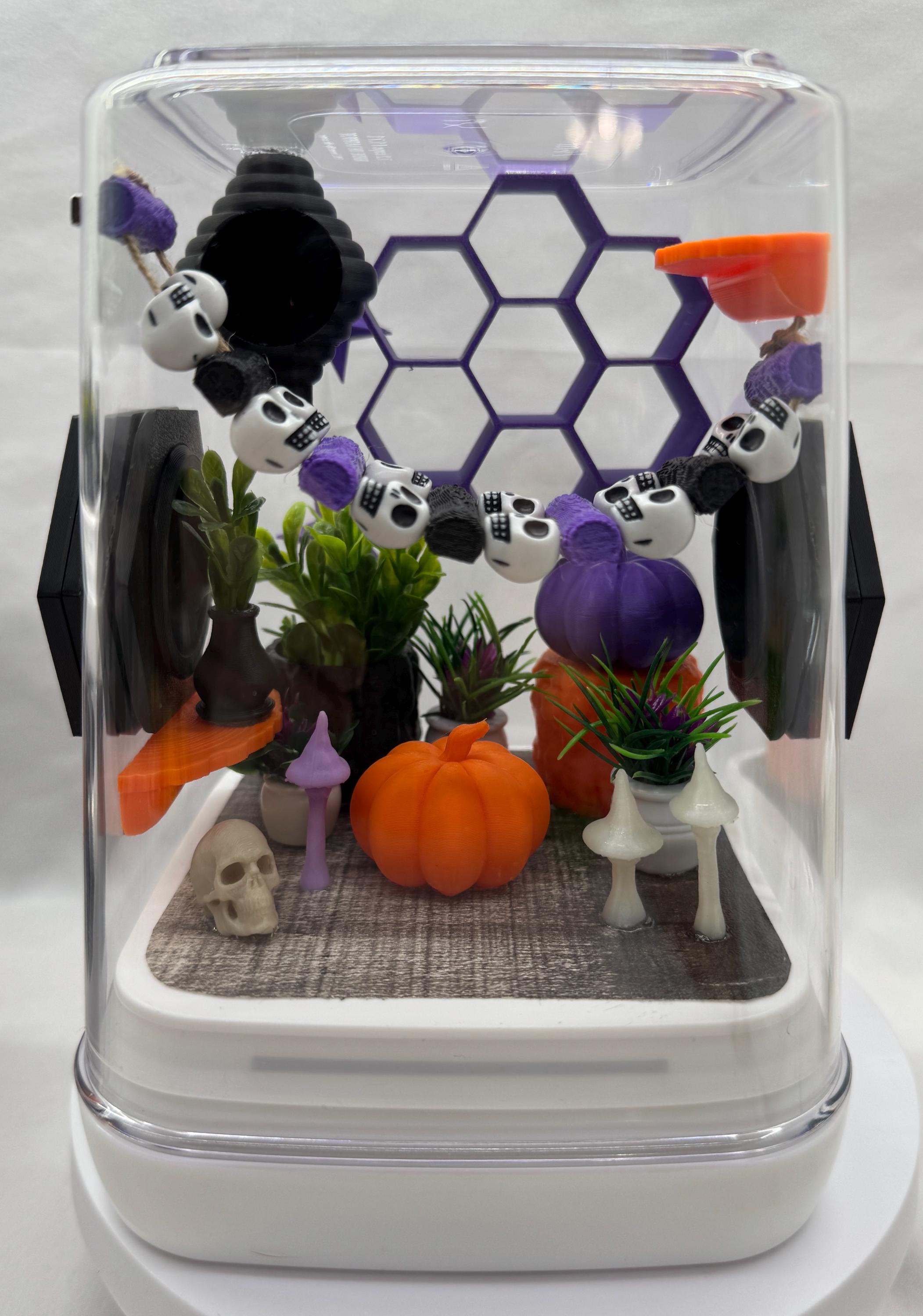 Gothic themed Enclosure for Arachnid Pets - Safe, Custom Terrarium & Home - Decor-Adorable Jumping Spider Habitat
