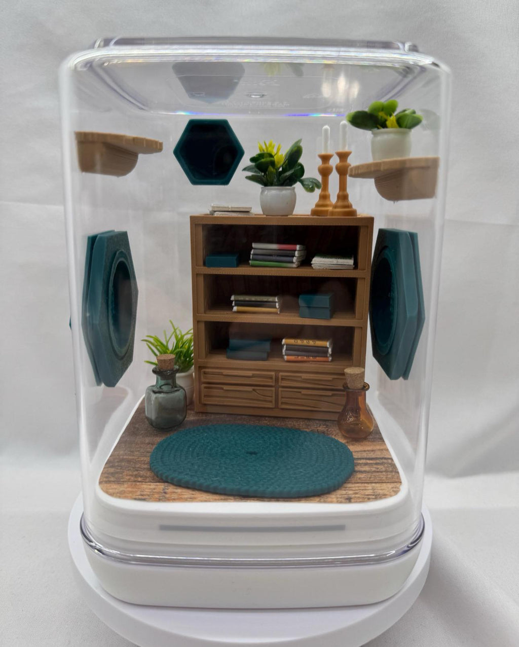 Accessory Pack for The spider study jumping spider enclosure