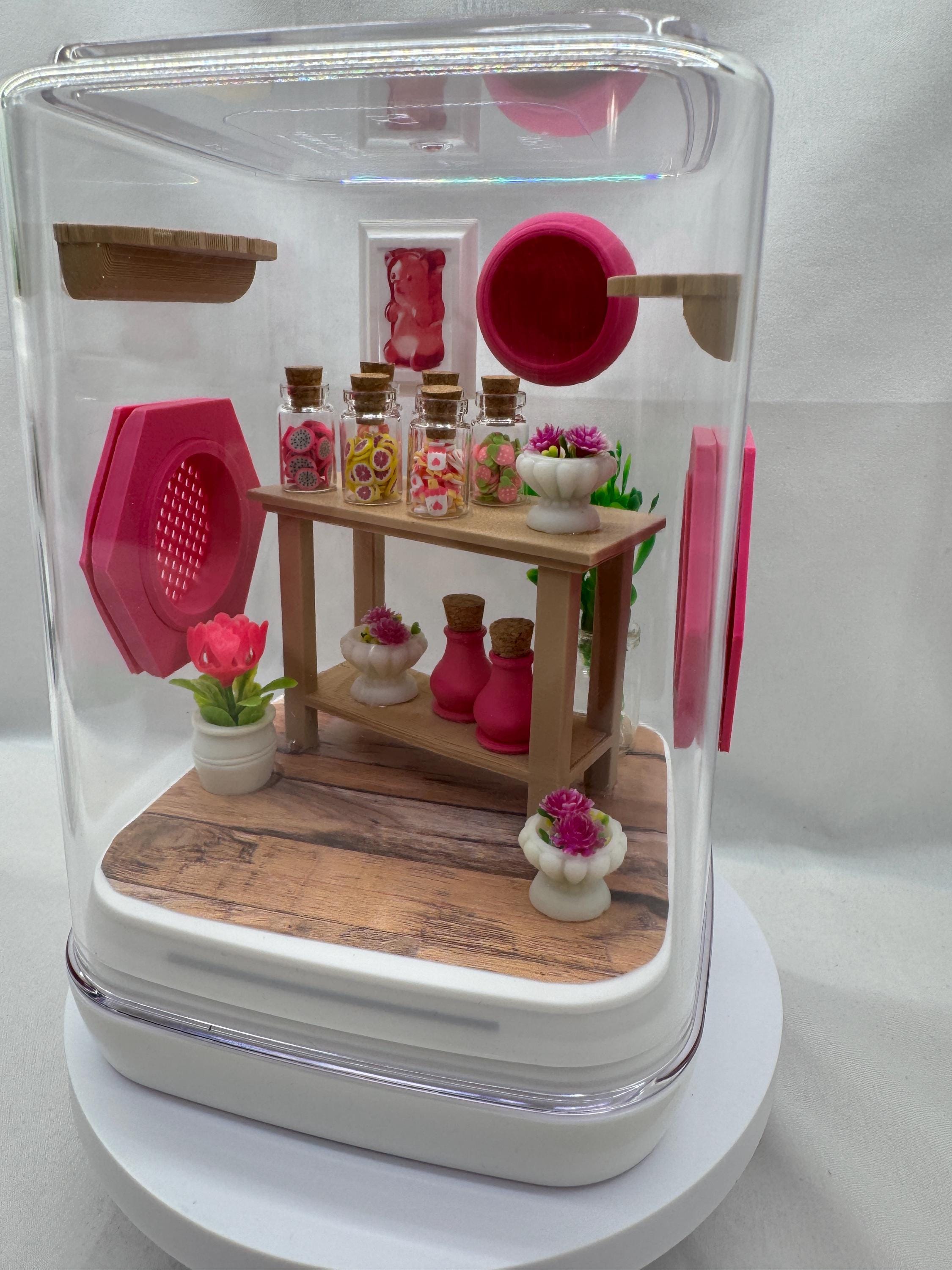 Decorated Jumping Spider Enclosure: Candy Shop Theme (5x5x7 inches)